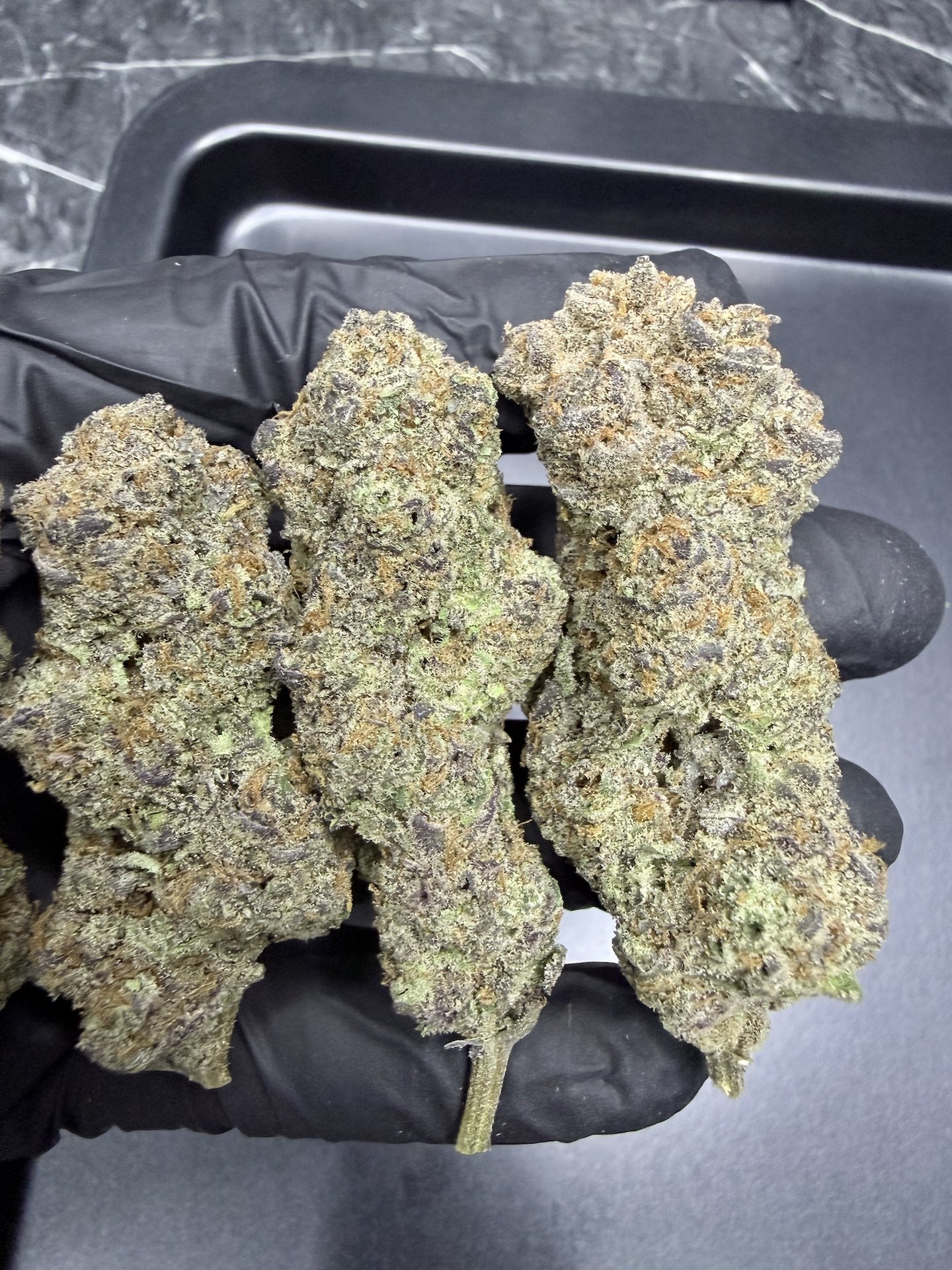 Golden Pussy By. The Grateful Seeds THC 25-30% ð - Image 4