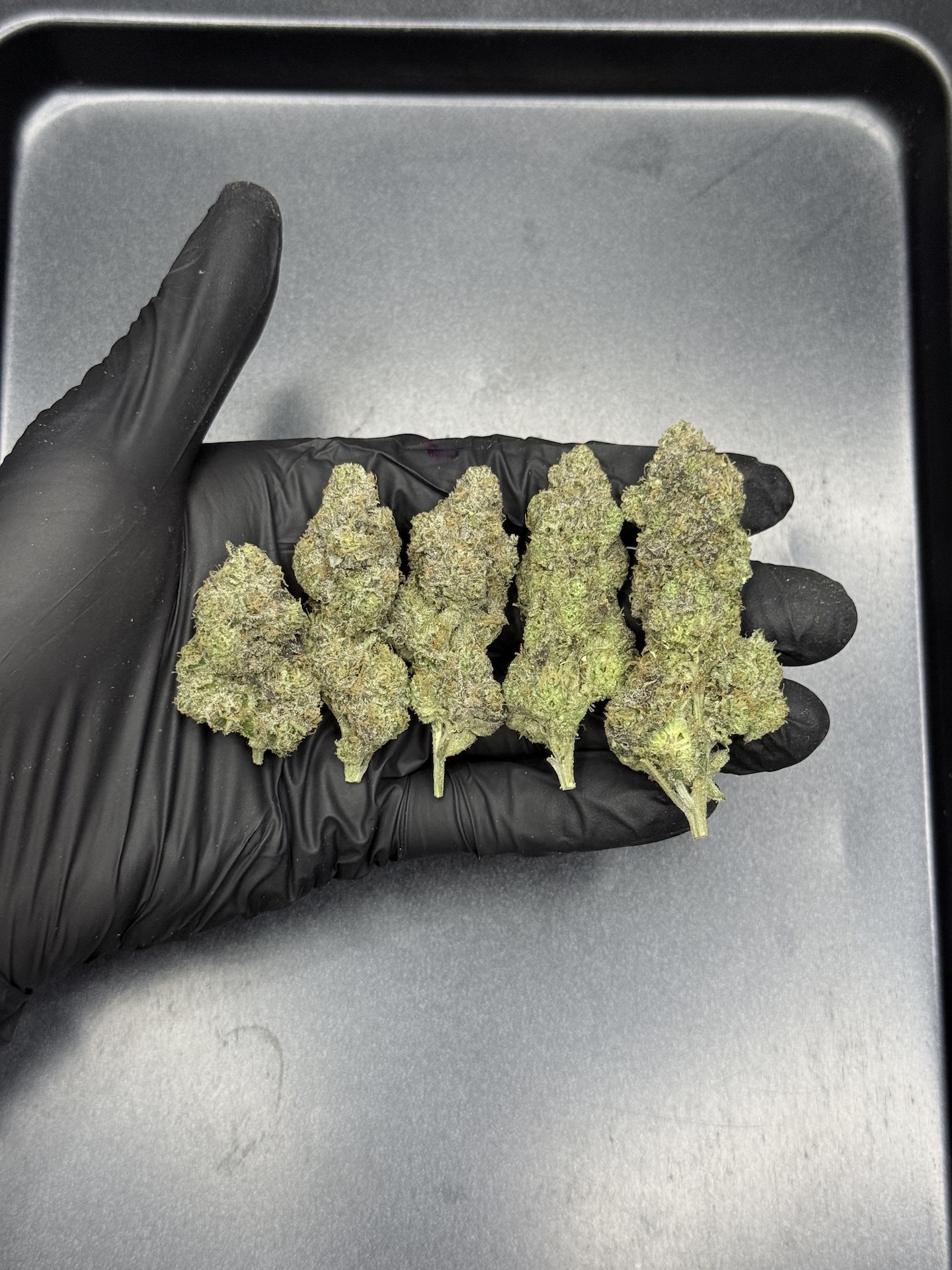 RS11 x LCG By. BackPack Boyz THC 25-30% ð - Image 2