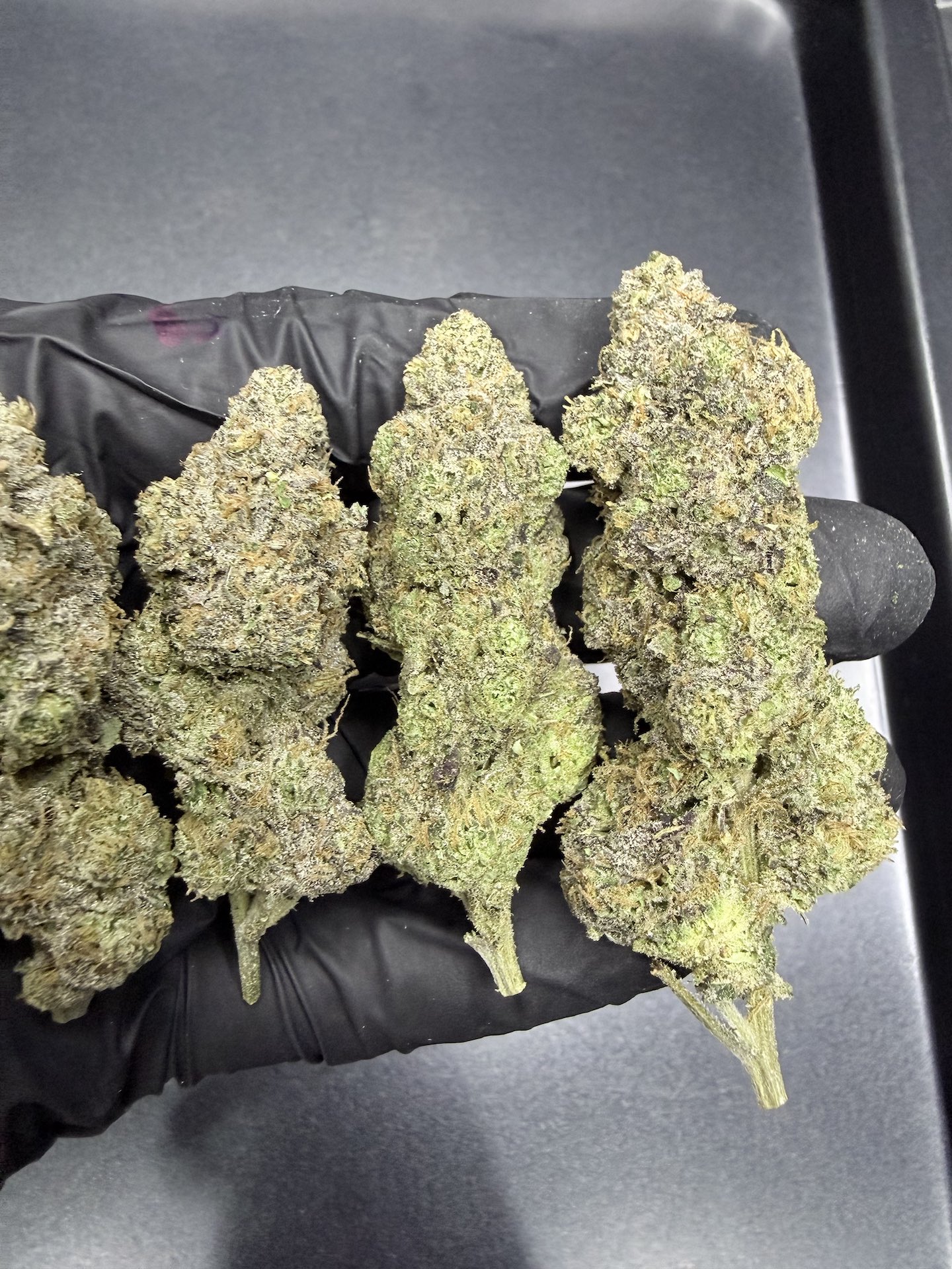 RS11 x LCG By. BackPack Boyz THC 25-30% ð - Image 4