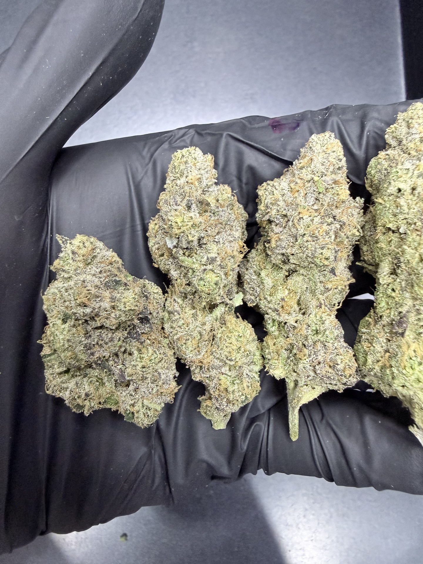 RS11 x LCG By. BackPack Boyz THC 25-30% ð - Image 5