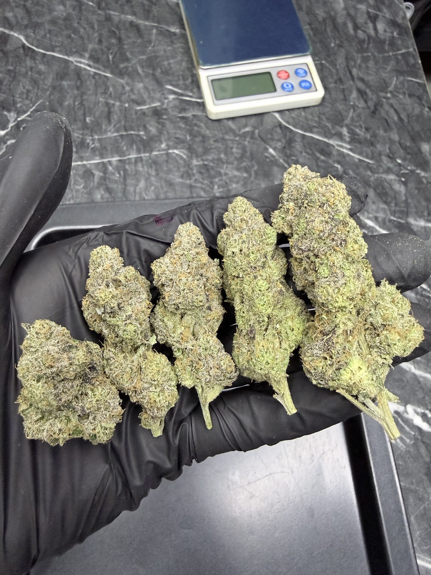 RS11 x LCG By. BackPack Boyz THC 25-30% ð - Image 3