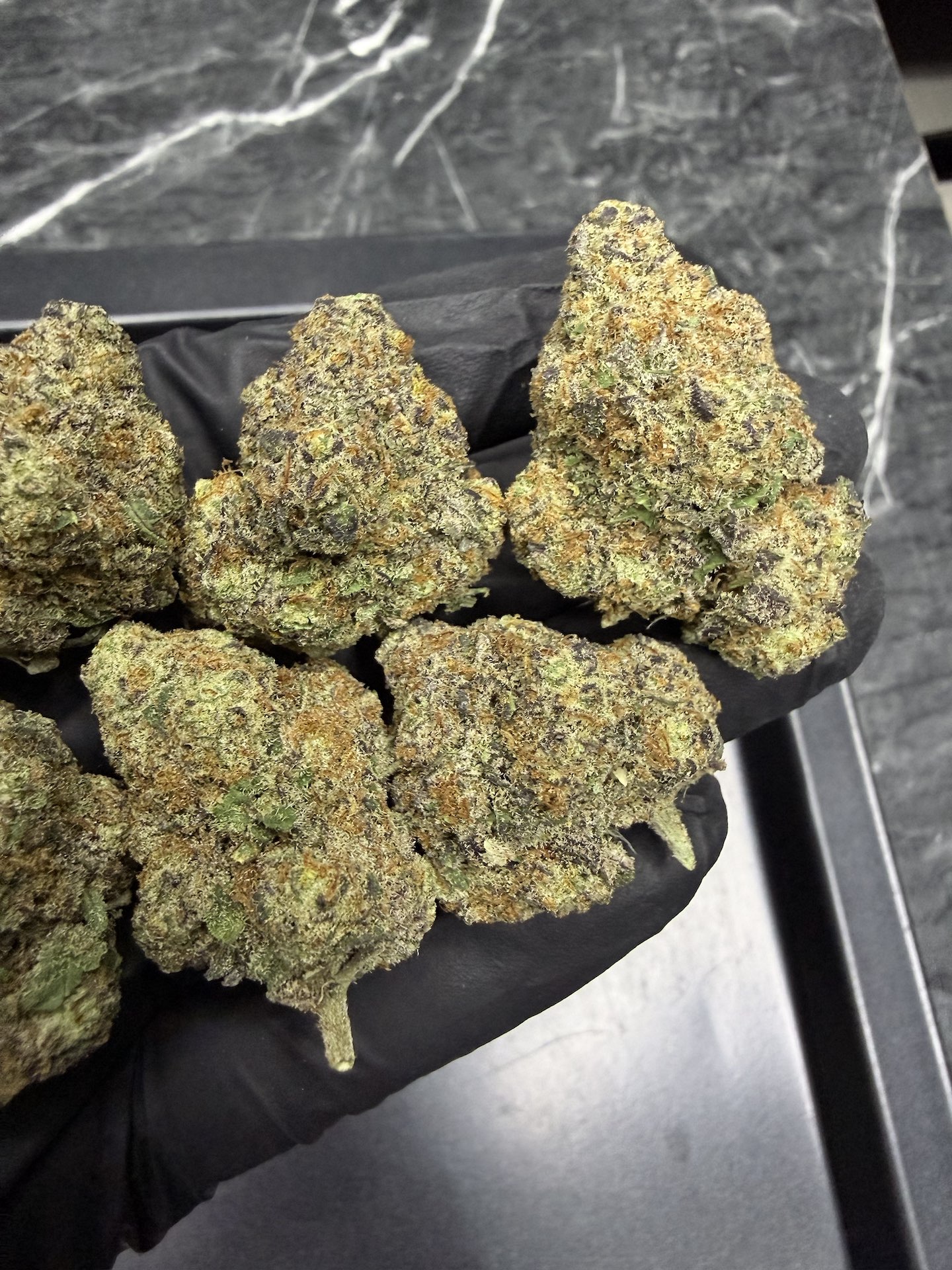 Gogurtz By. Seed Junky THC 25-30% - Image 5