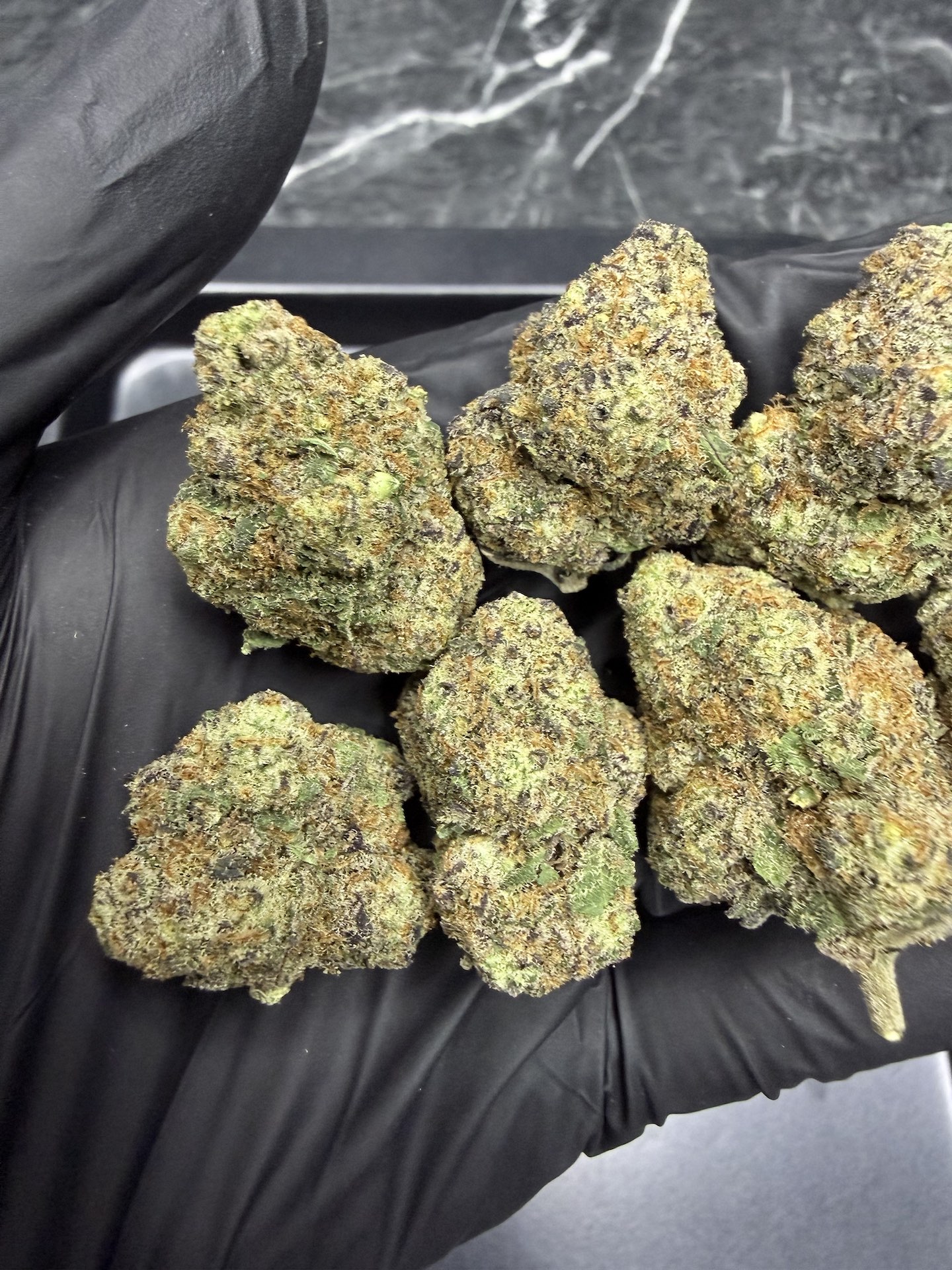Gogurtz By. Seed Junky THC 25-30% - Image 4