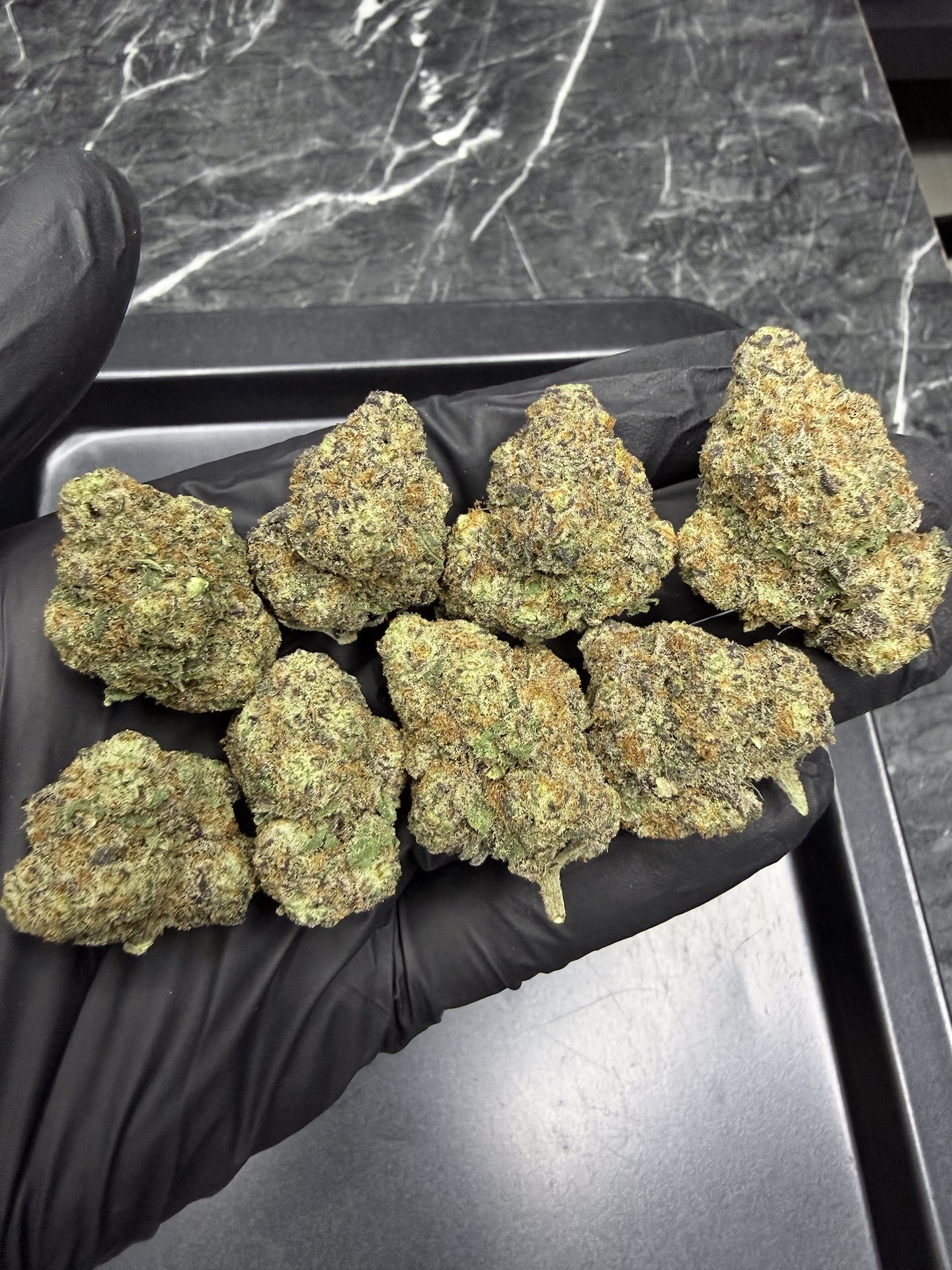 Gogurtz By. Seed Junky THC 25-30% - Image 3