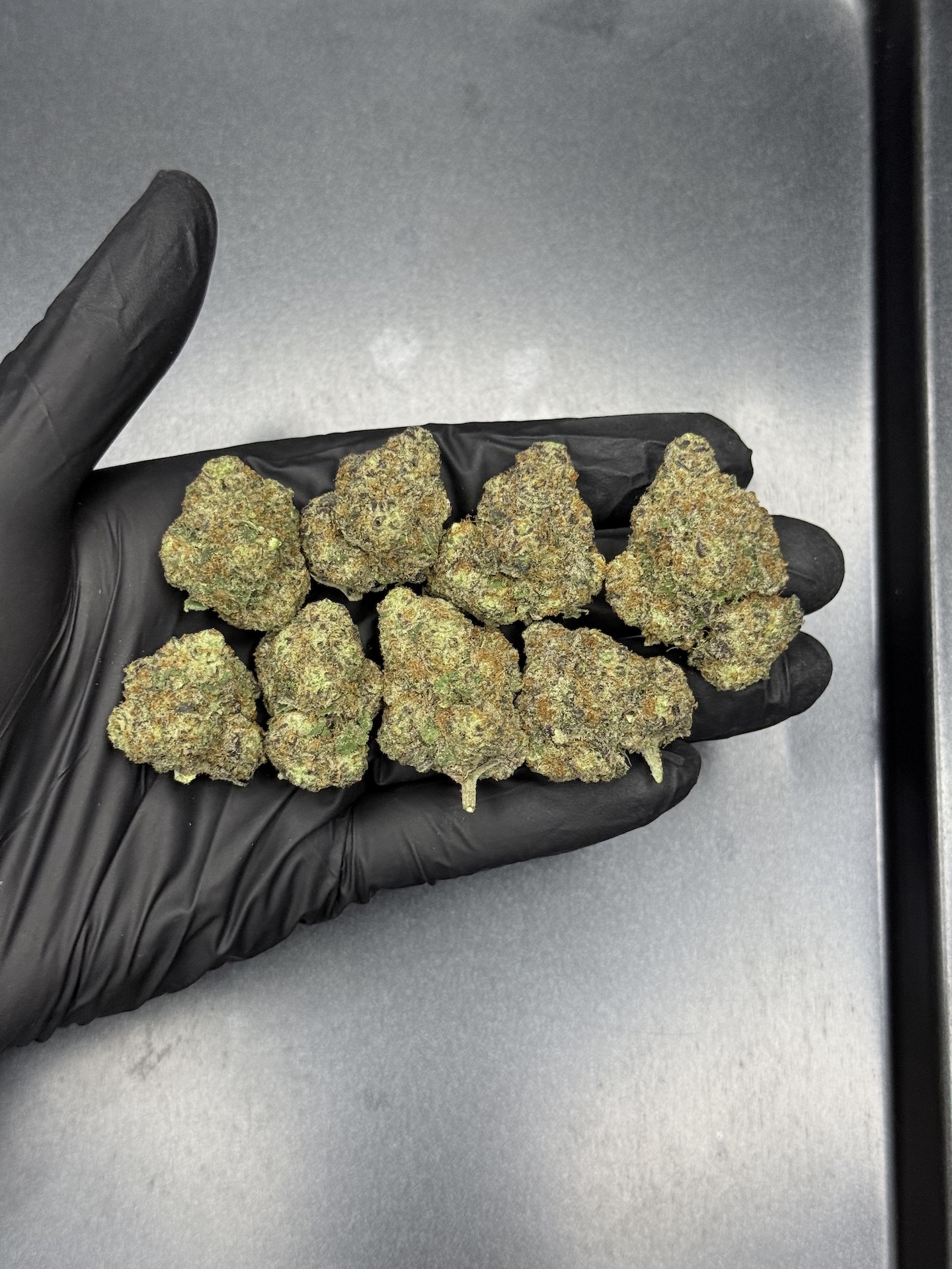 Gogurtz By. Seed Junky THC 25-30% - Image 2