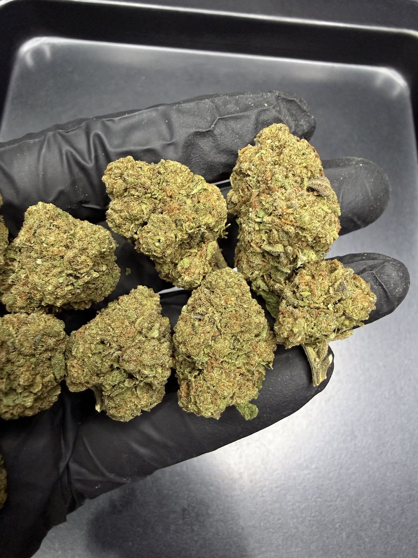 Lava Freeze THC 25%+ ðļ - Image 4