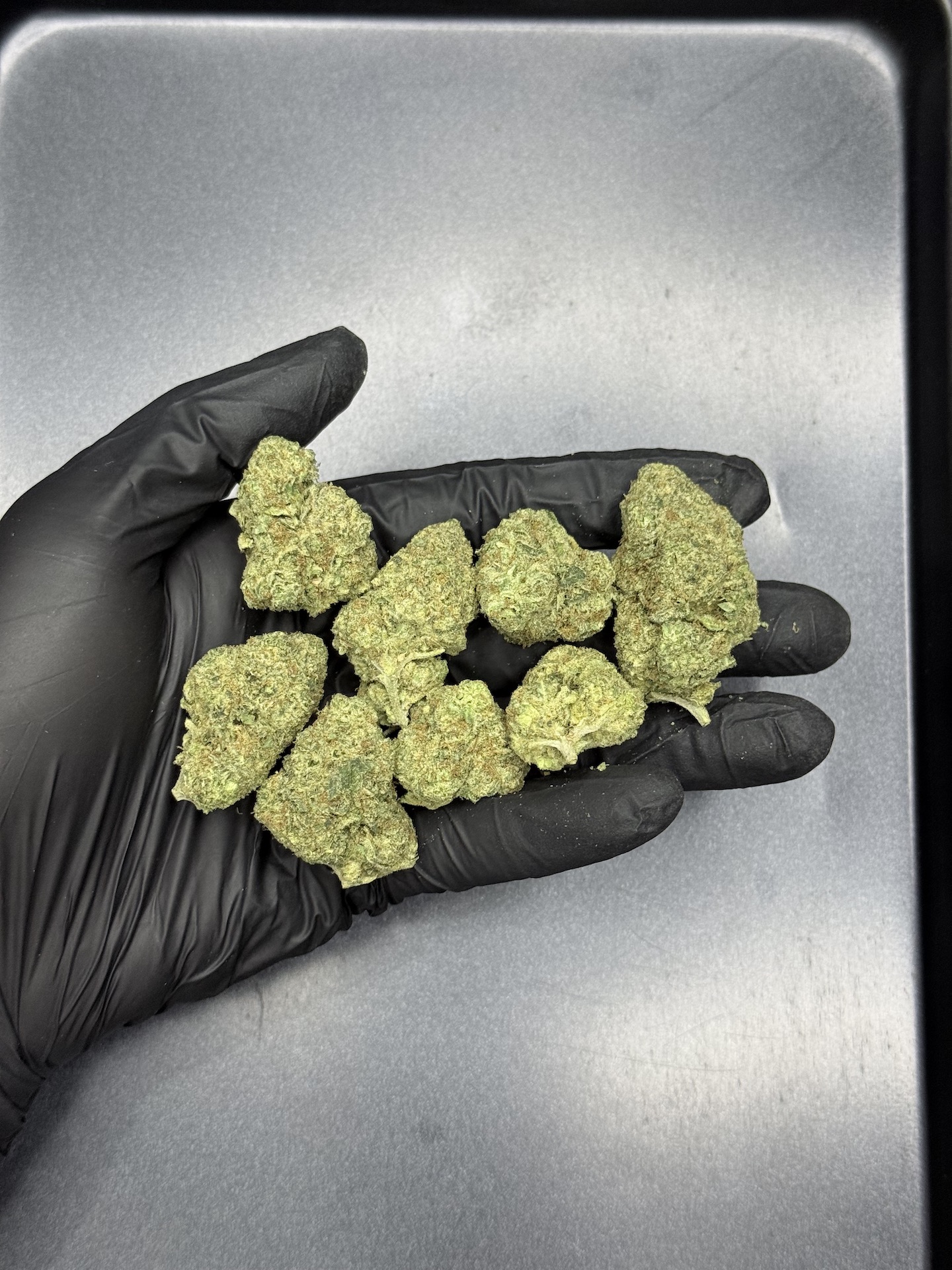 Truffle’z & Cream By. Exotic Genetix THC 25-30% - Image 2