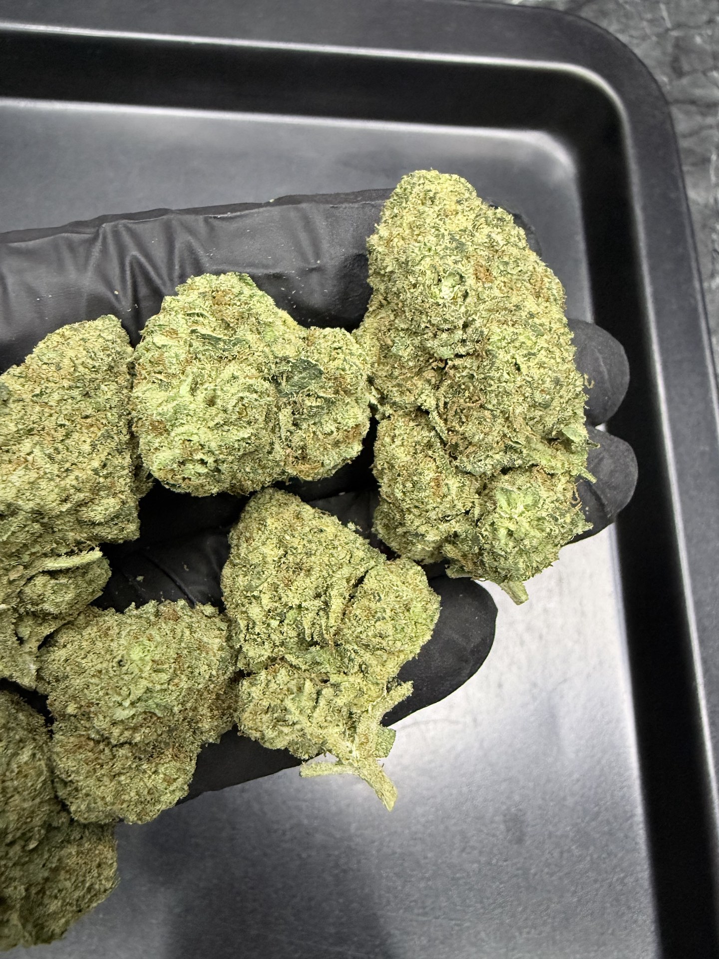 Truffle’z & Cream By. Exotic Genetix THC 25-30% - Image 3