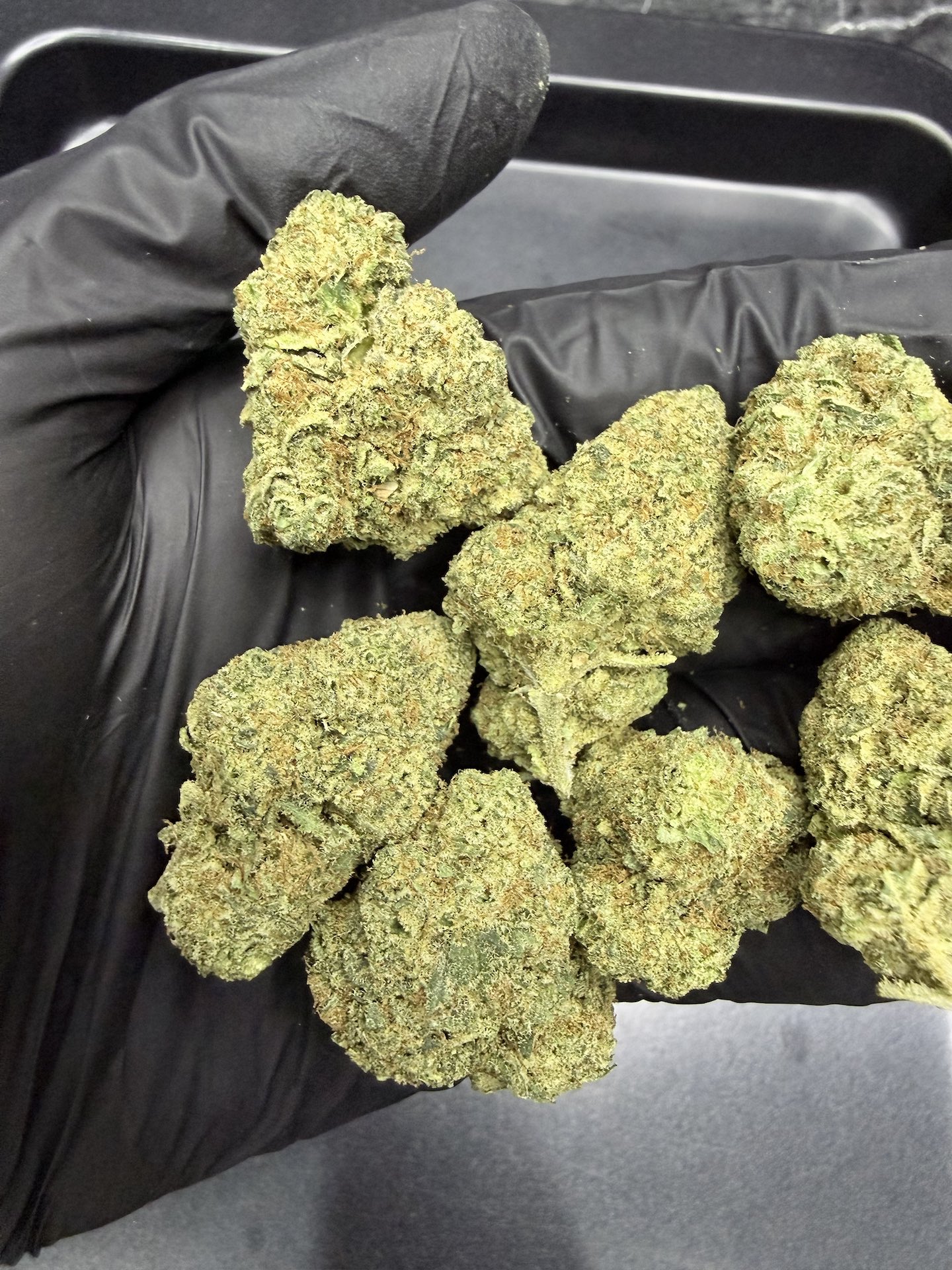 Truffle’z & Cream By. Exotic Genetix THC 25-30% - Image 4