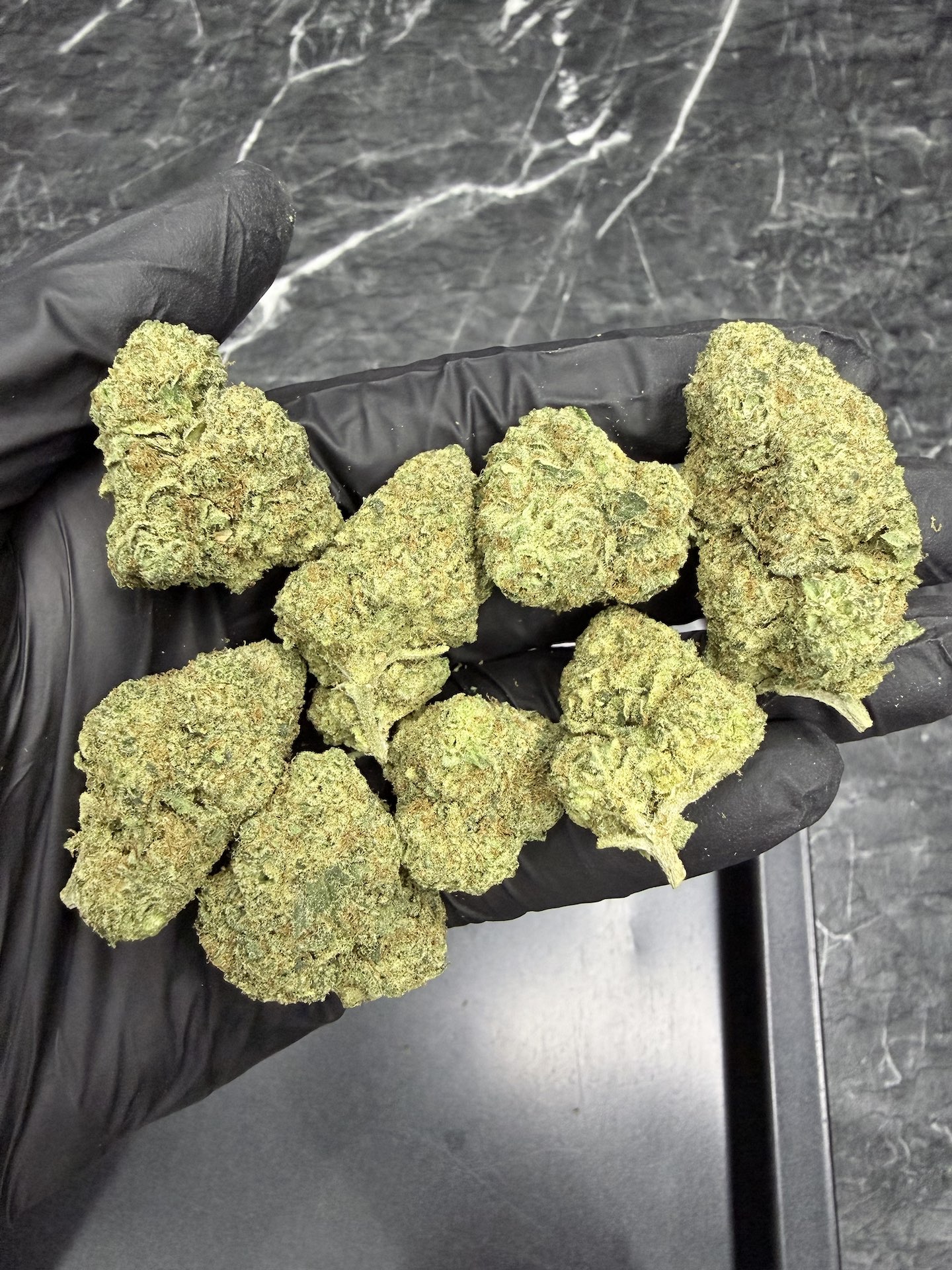 Truffle’z & Cream By. Exotic Genetix THC 25-30% - Image 5