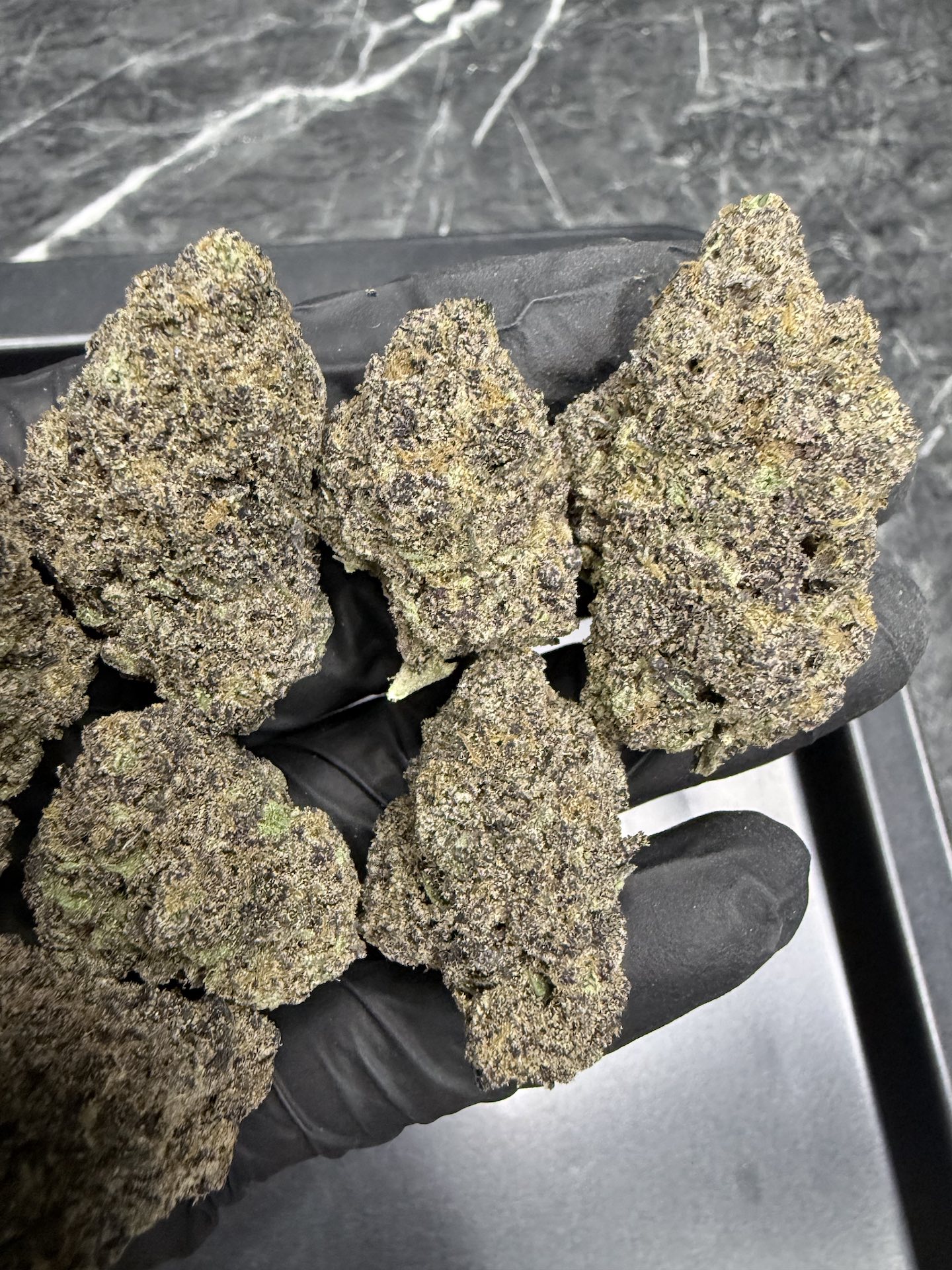 Redneck Wedding By. Surfr Seeds THC 25-30% - Image 5
