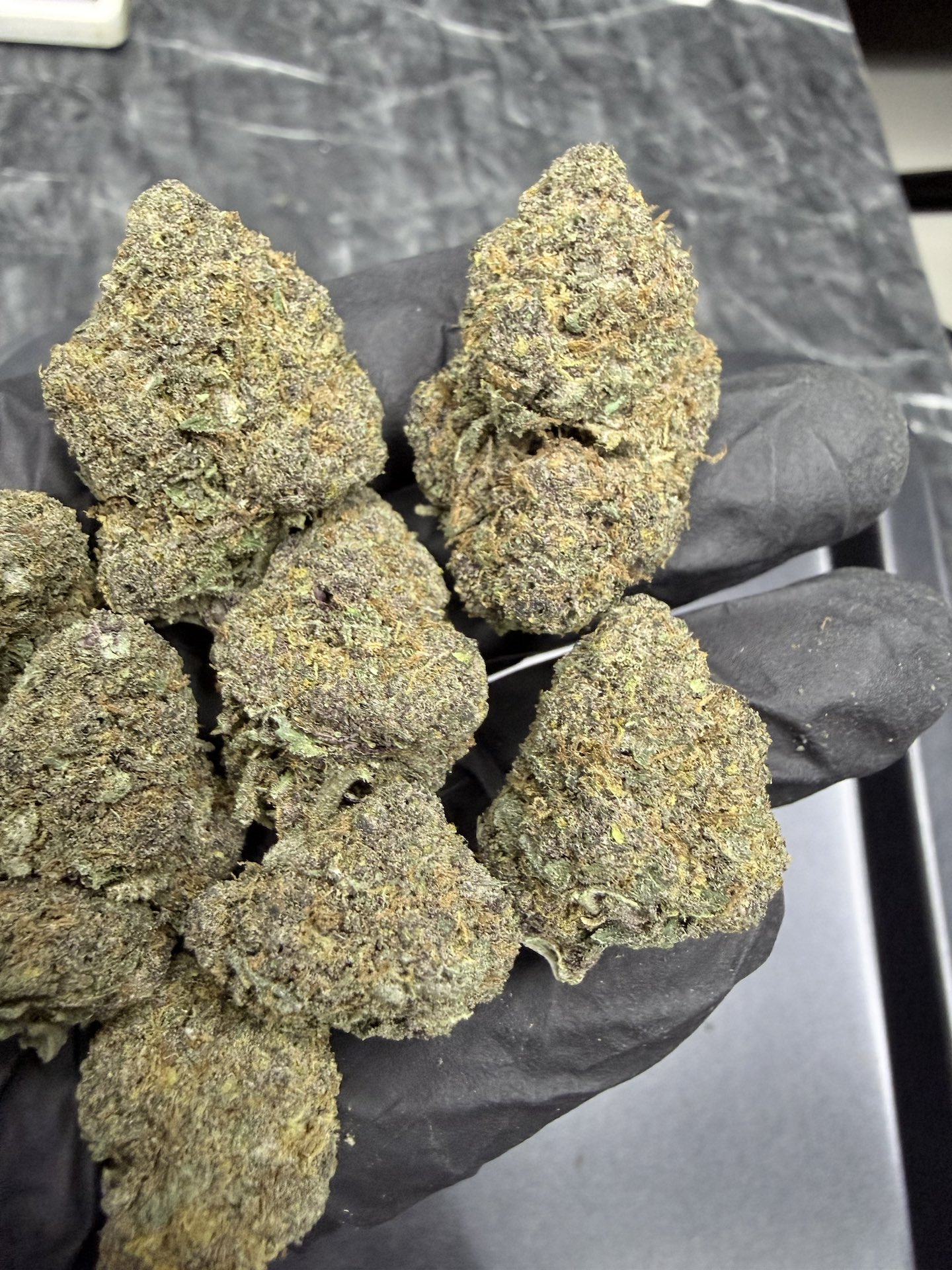 Tropicana Cherry By. Relentless Genetics THC 25-30% - Image 4