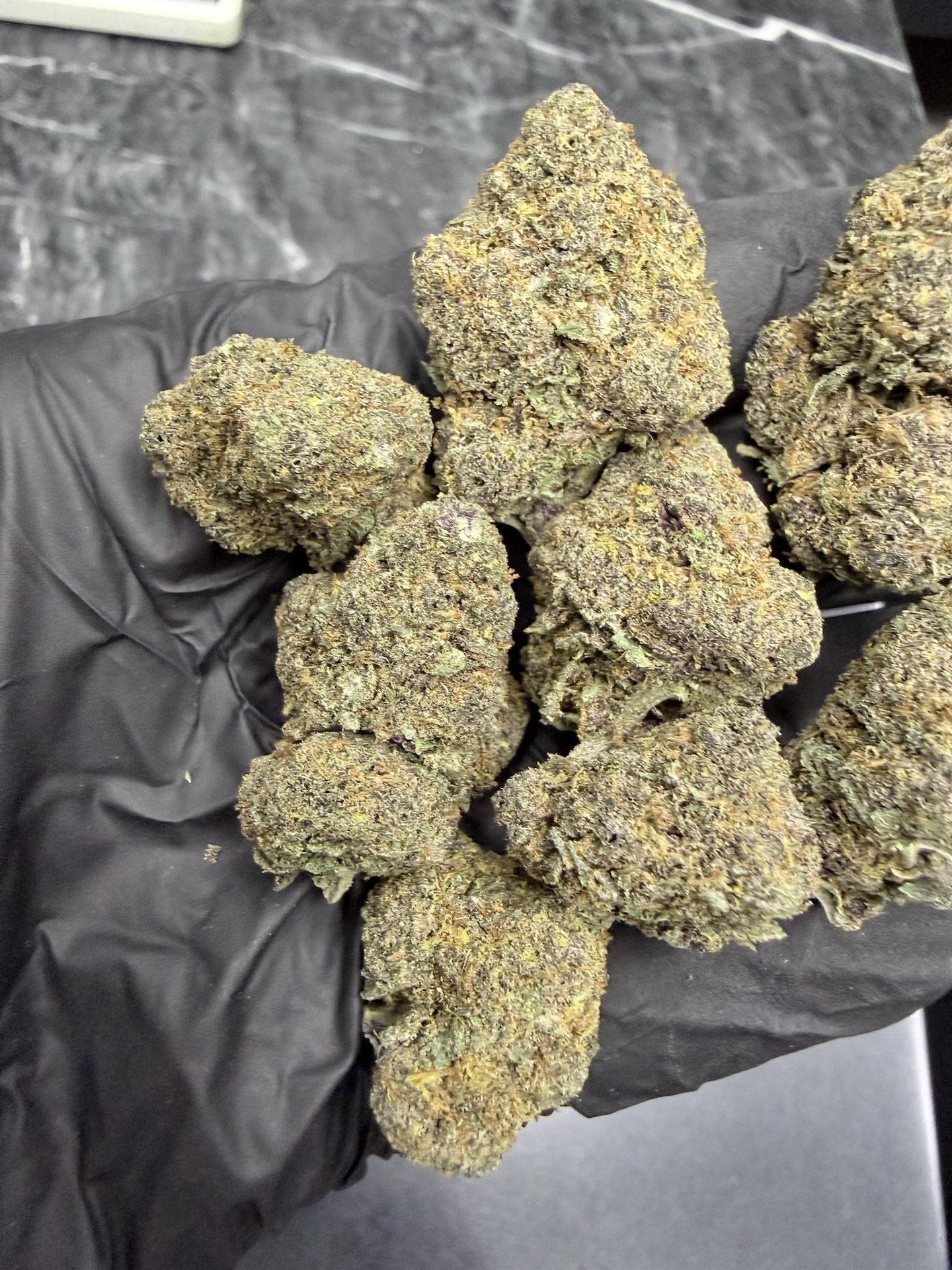 Tropicana Cherry By. Relentless Genetics THC 25-30% - Image 5