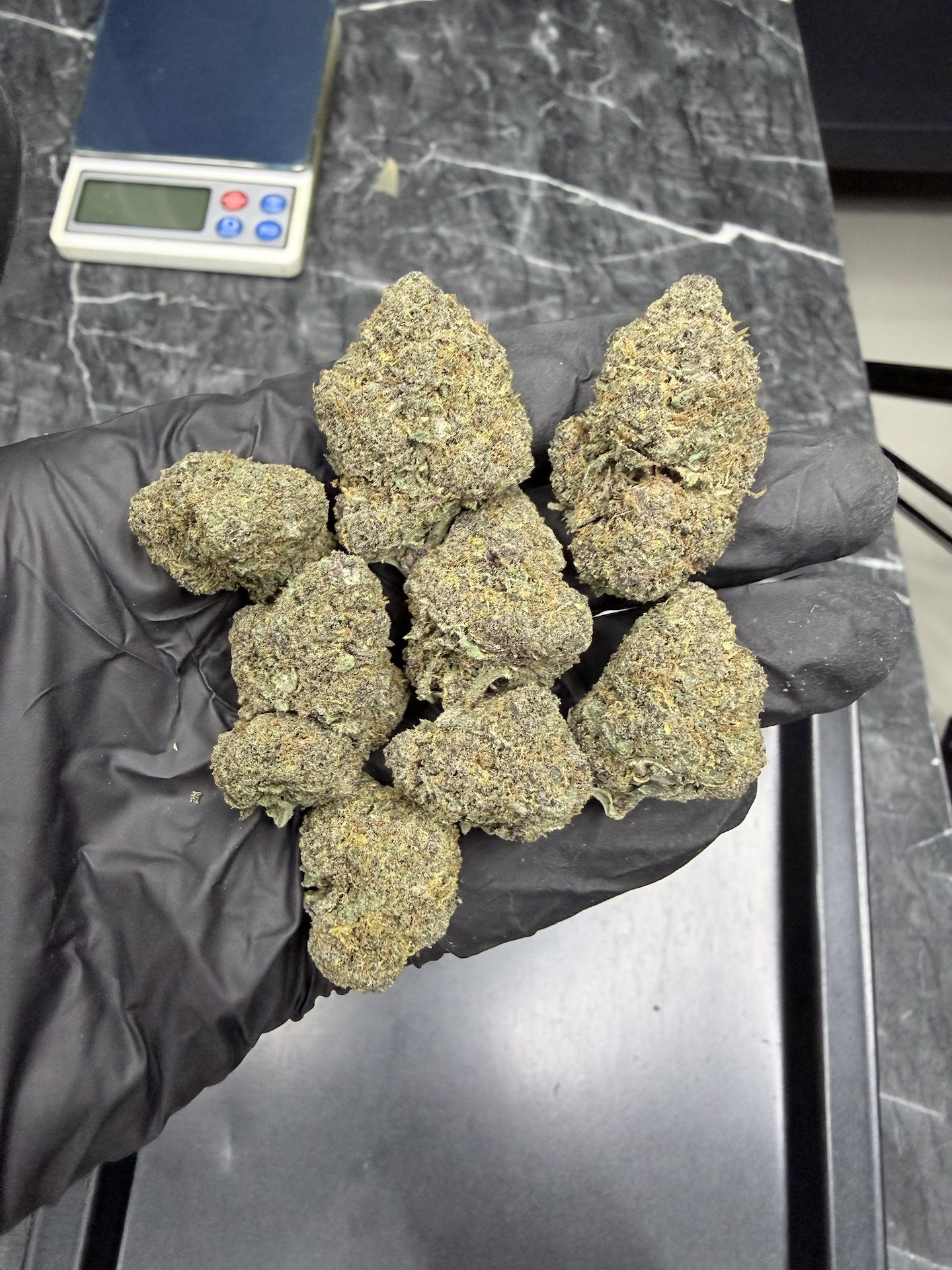 Tropicana Cherry By. Relentless Genetics THC 25-30% - Image 2