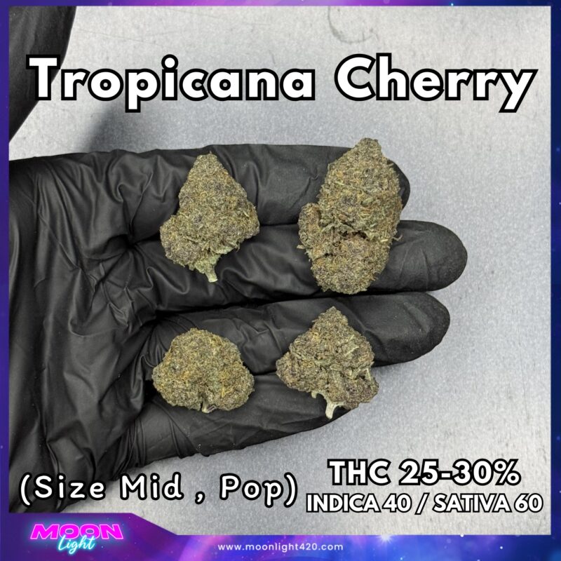 Tropicana Cherry By. Relentless Genetics THC 25-30%