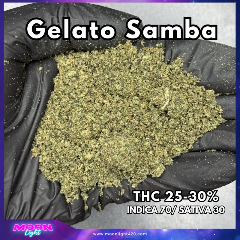 ทริม+ดอกแตก Gelato Samba By. Bulk Seed Bank  THC 25-30%