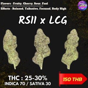 RS11 x LCG By. BackPack Boyz THC 25-30% 🌕