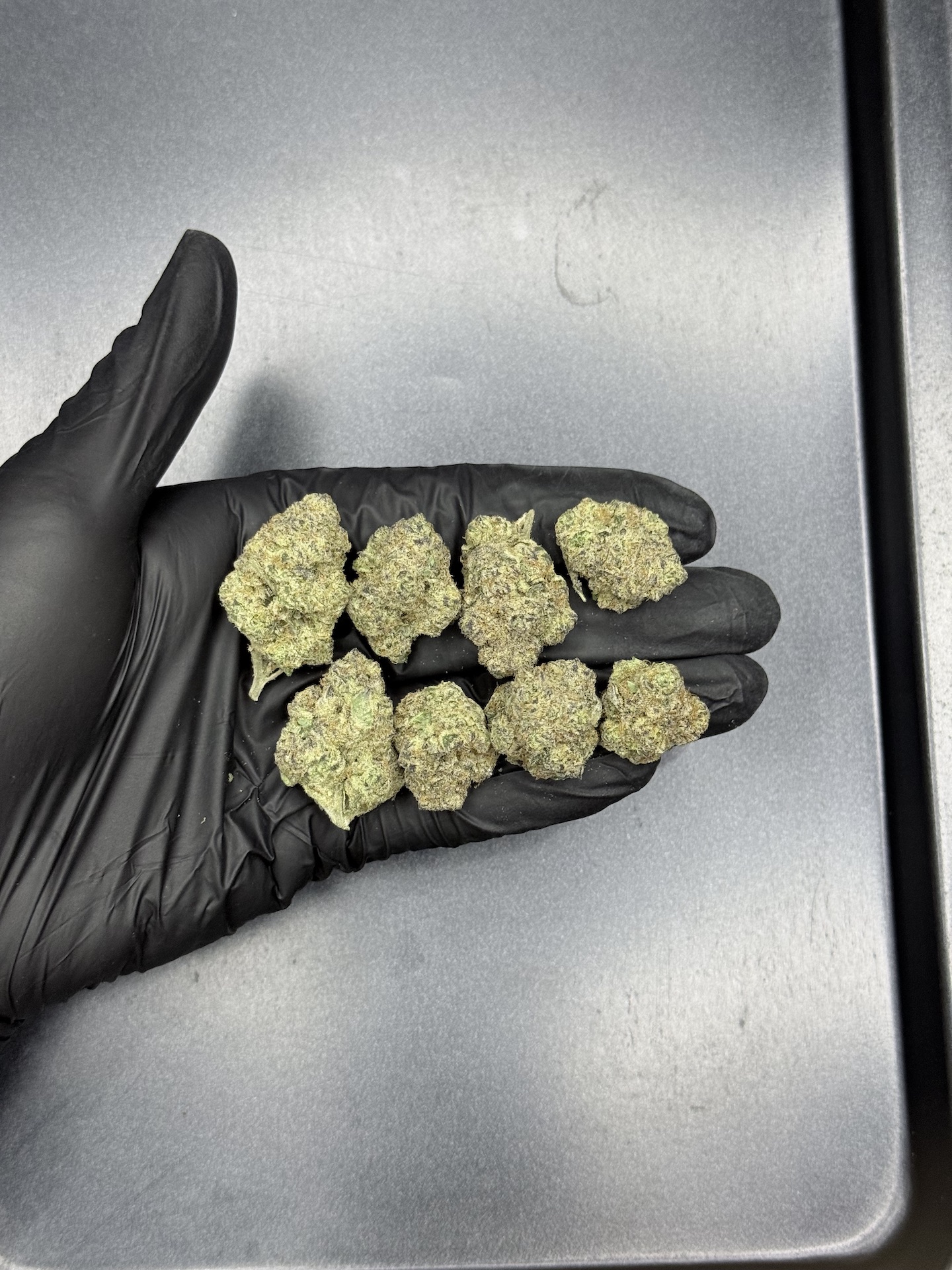 Lucky 13 By. Exotic Genetix THC 25-30% - Image 2