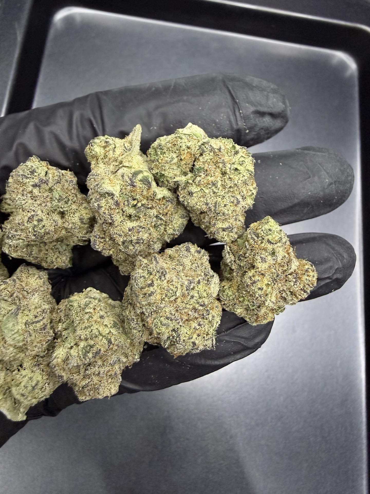 Lucky 13 By. Exotic Genetix THC 25-30% - Image 3