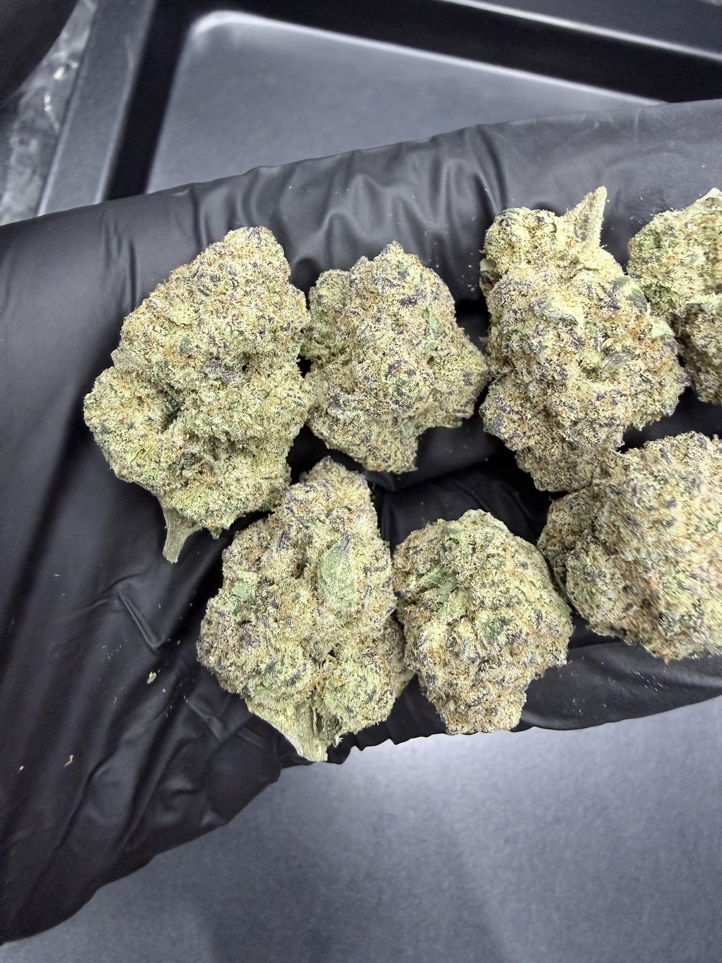 Lucky 13 By. Exotic Genetix THC 25-30% - Image 4