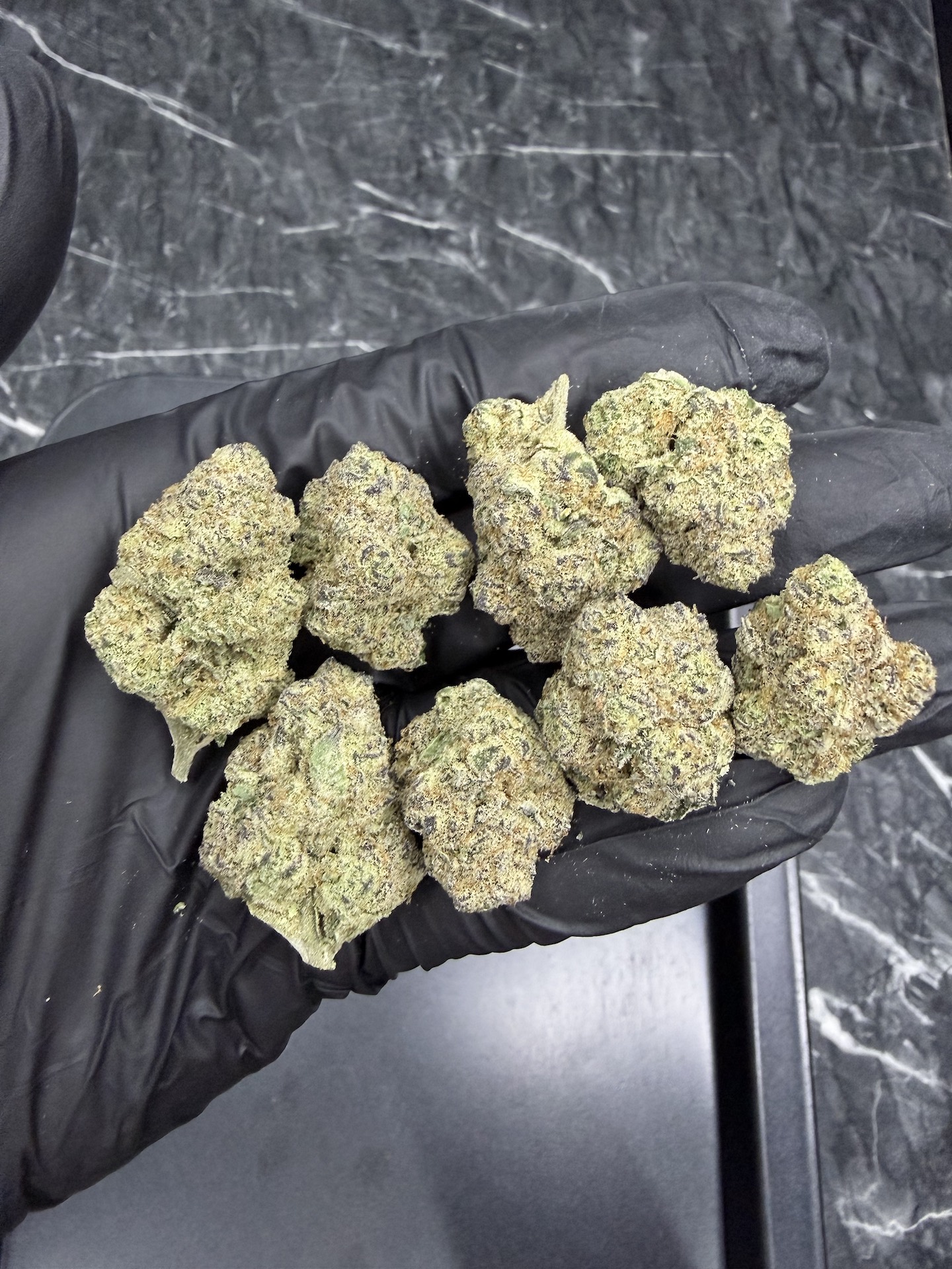 Lucky 13 By. Exotic Genetix THC 25-30% - Image 5