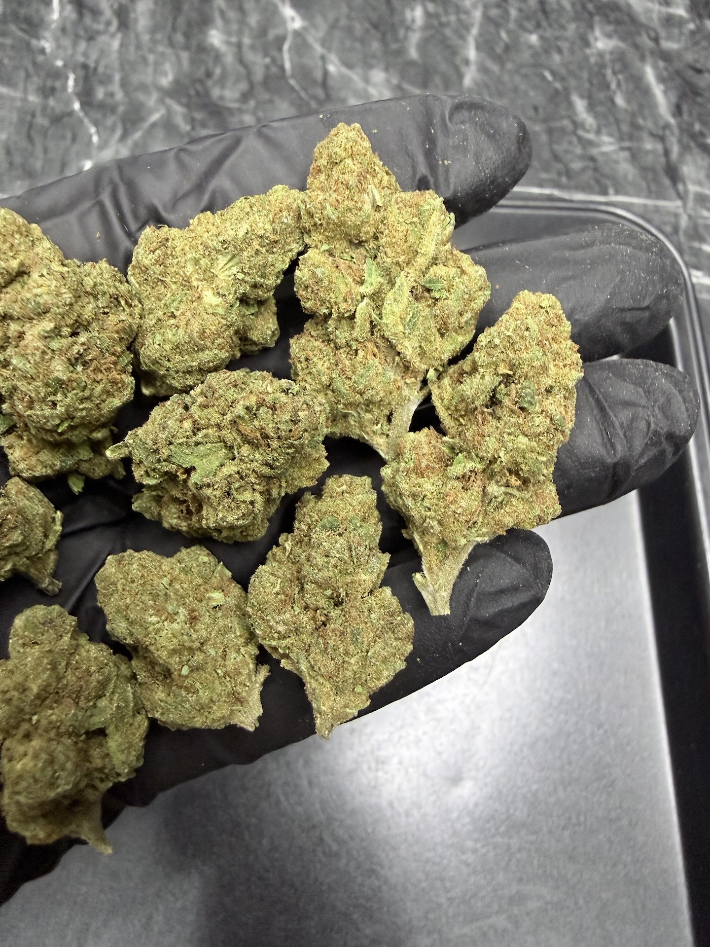 Rucu Cucu OG THC 25%+ ðļ - Image 5