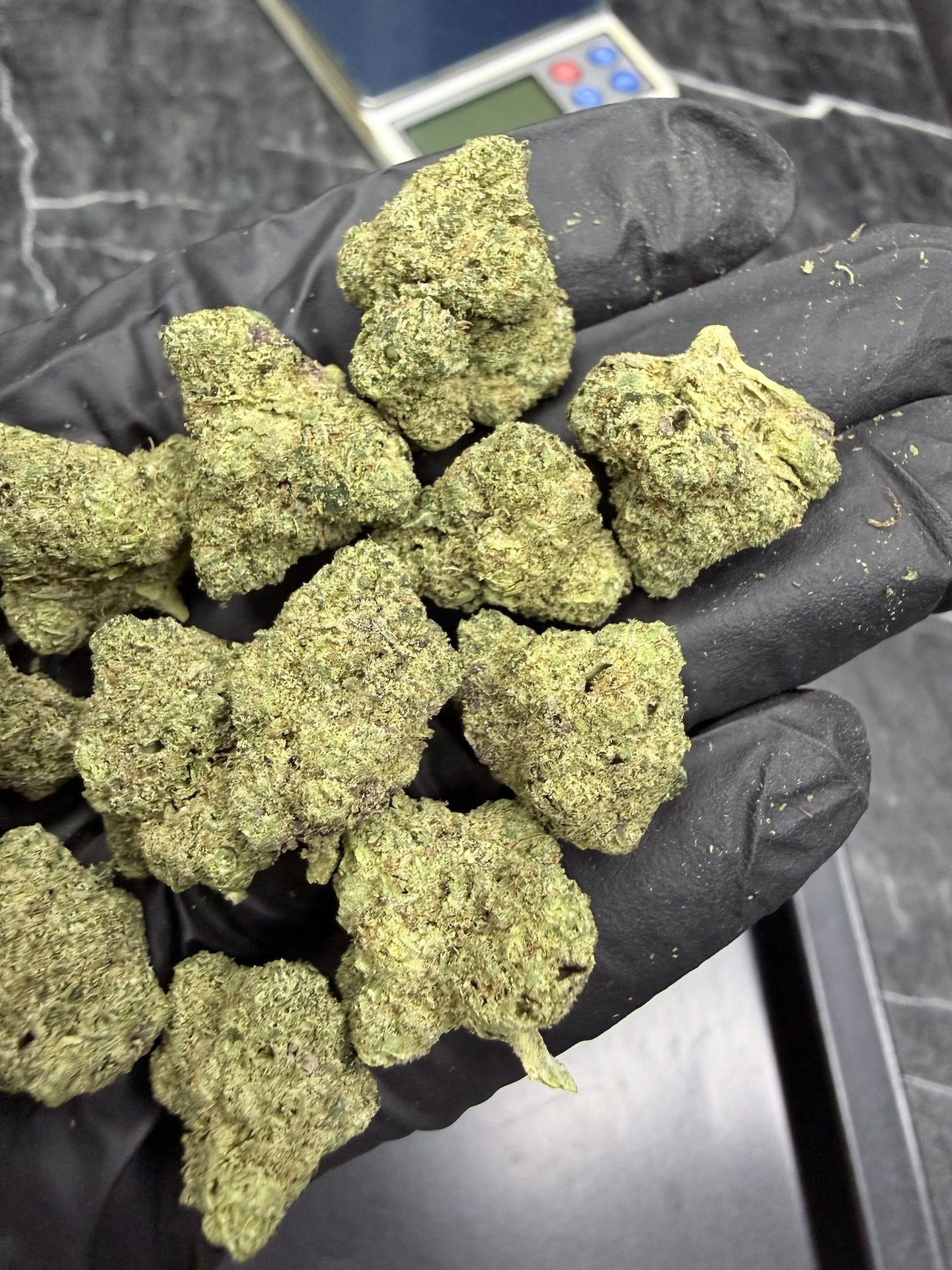 Lemon Berry Candy By. Ethos Genetics THC 25-30% - Image 4
