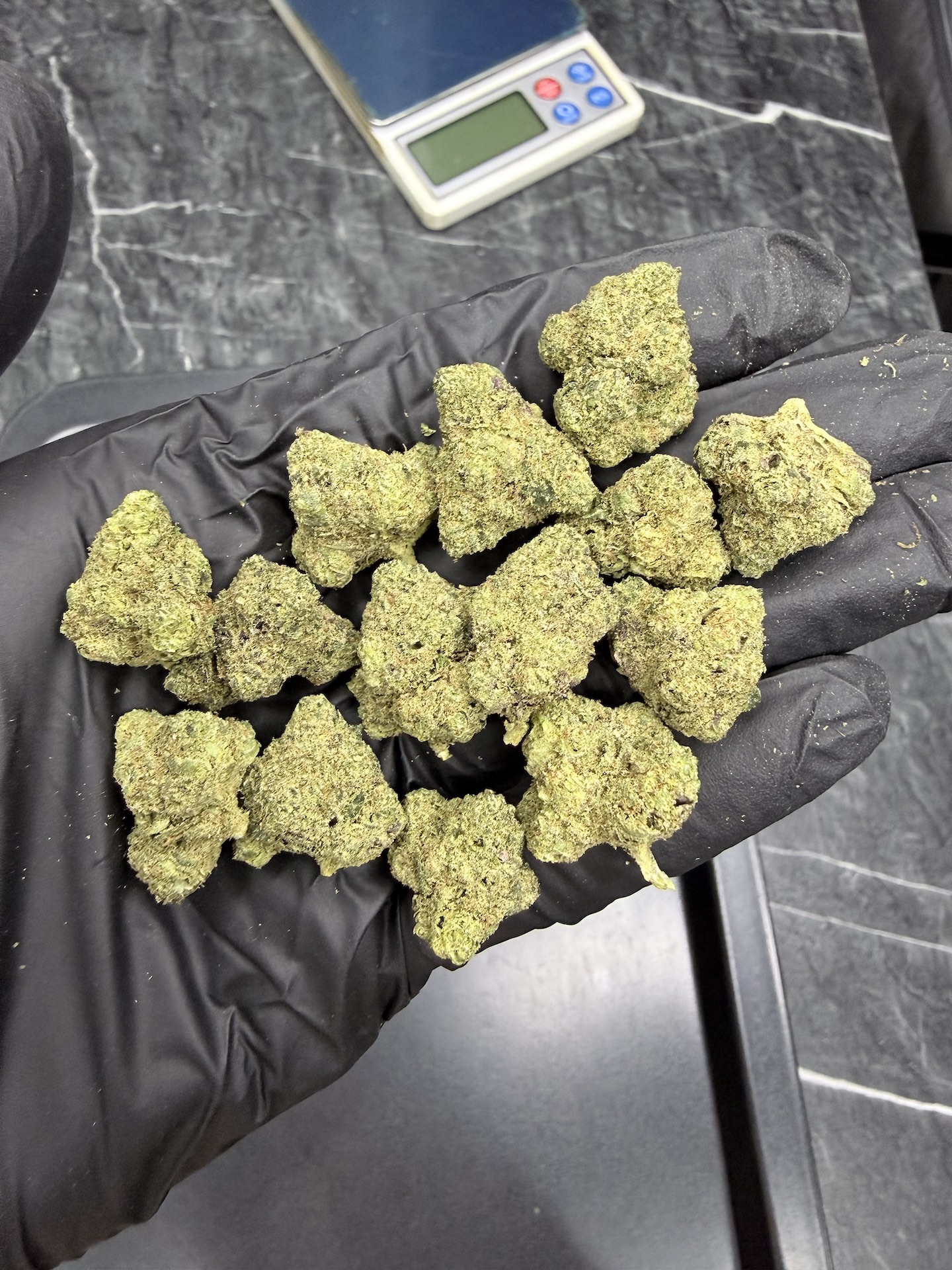 Lemon Berry Candy By. Ethos Genetics THC 25-30% - Image 2