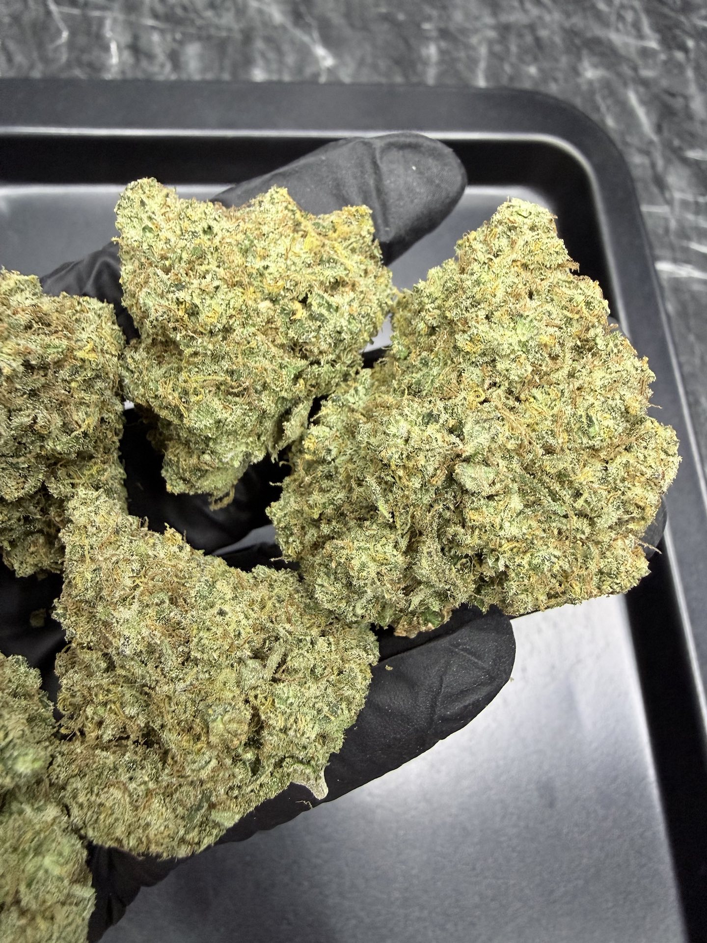 Super Lemon Haze By. Green House Seed THC 25-30% - Image 4