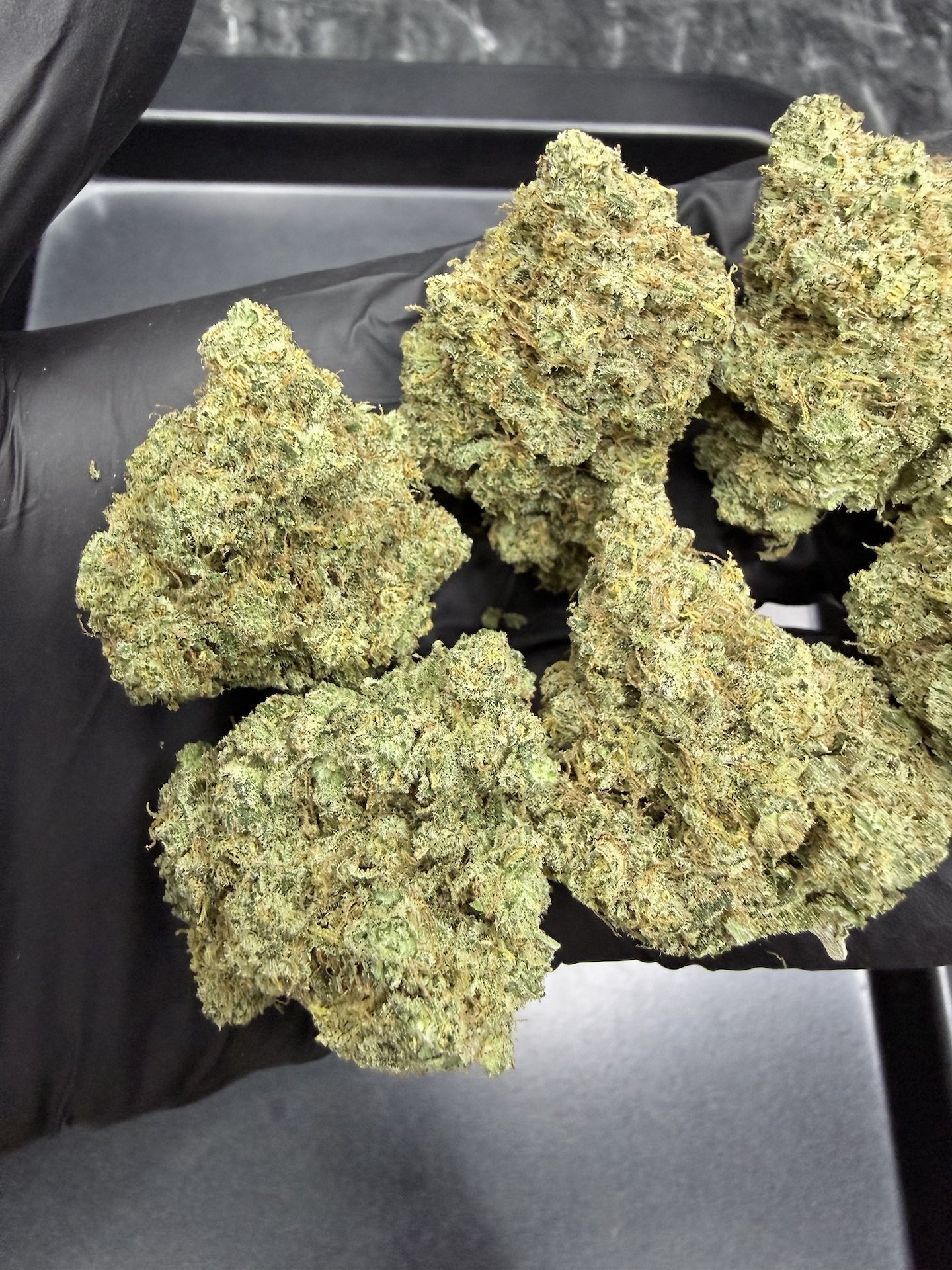 Super Lemon Haze By. Green House Seed THC 25-30% - Image 5