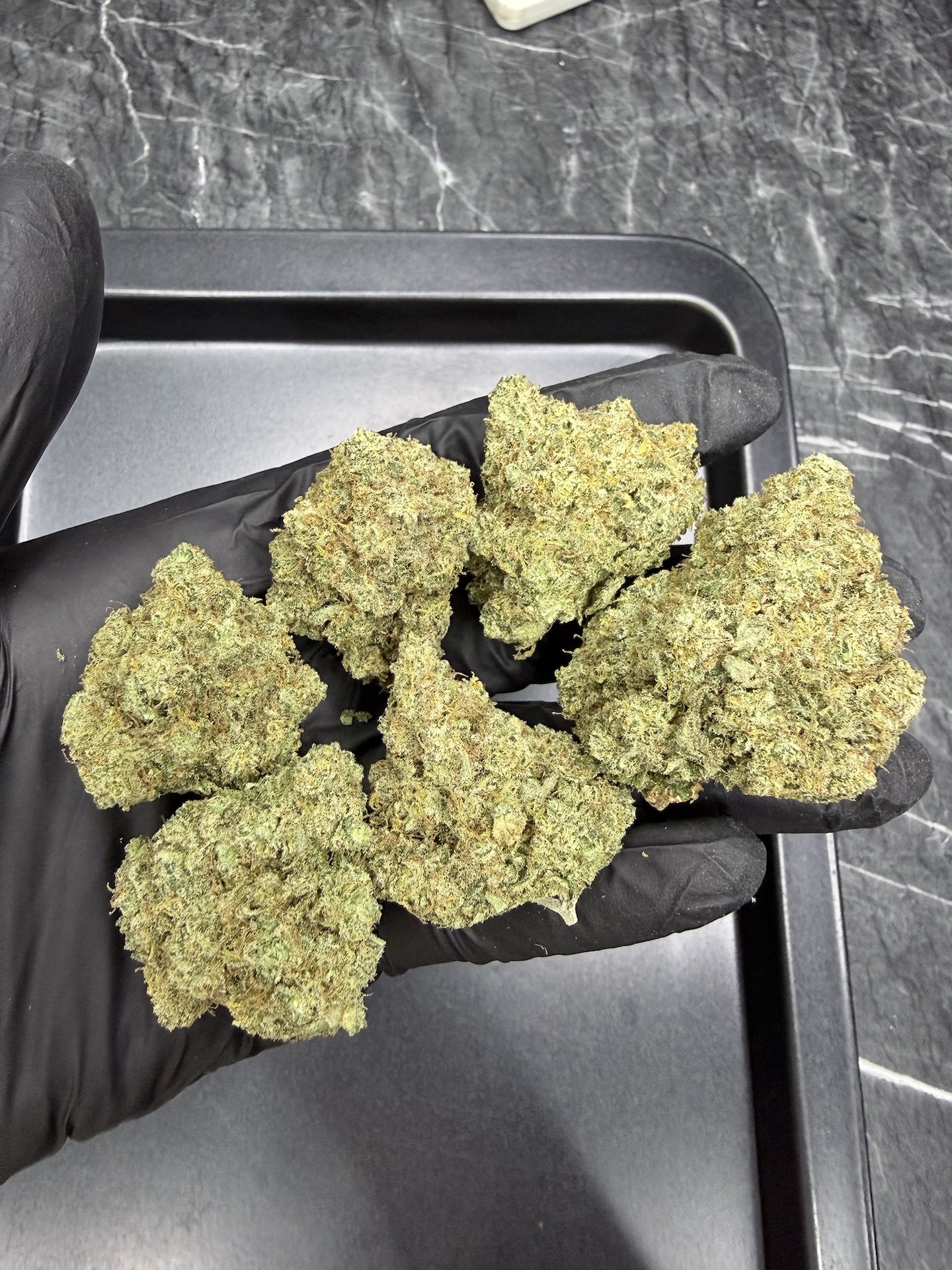 Super Lemon Haze By. Green House Seed THC 25-30% - Image 2