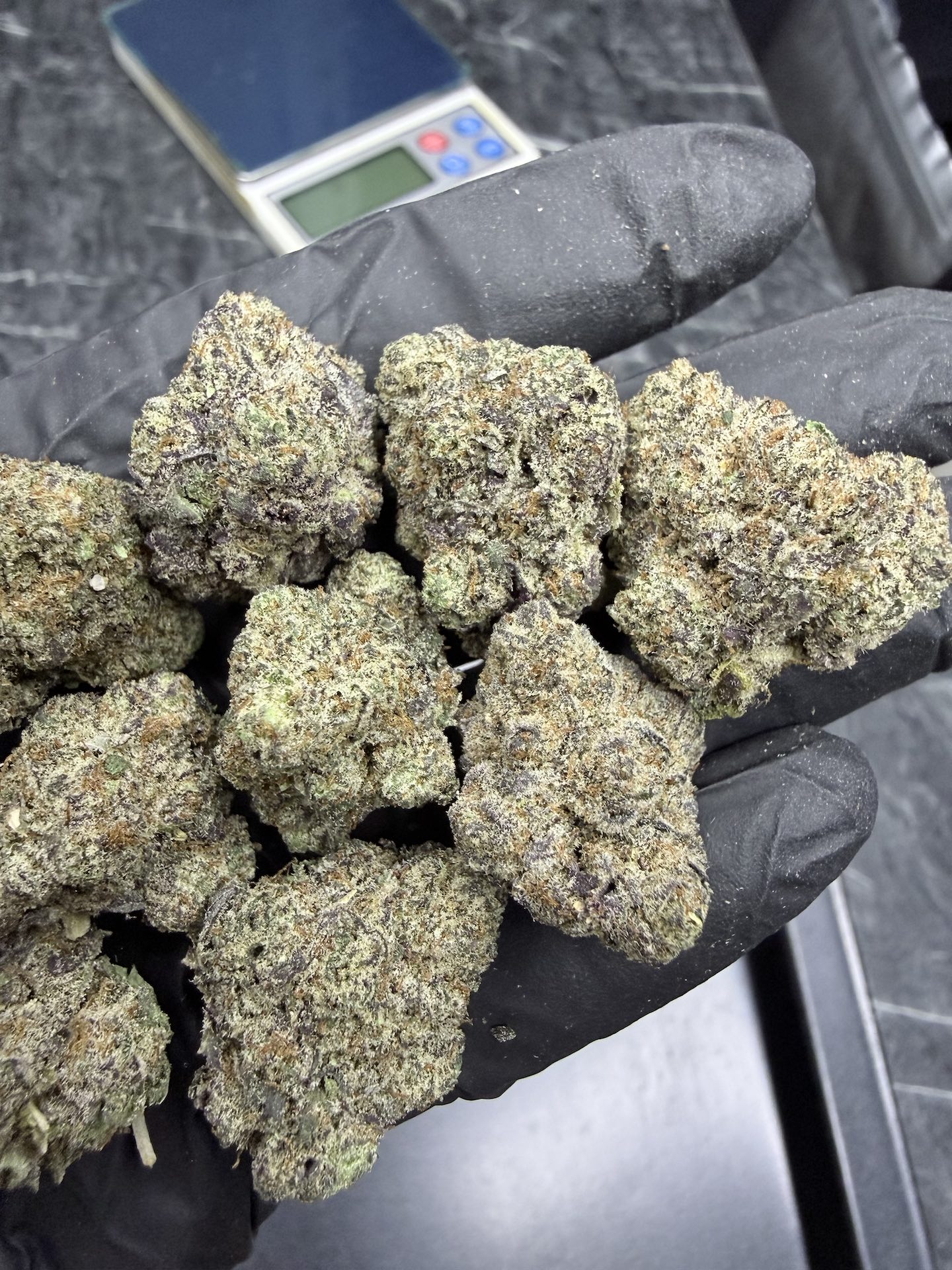 Thug Roze R1 By. Ethos Genetics THC 25-30% - Image 4