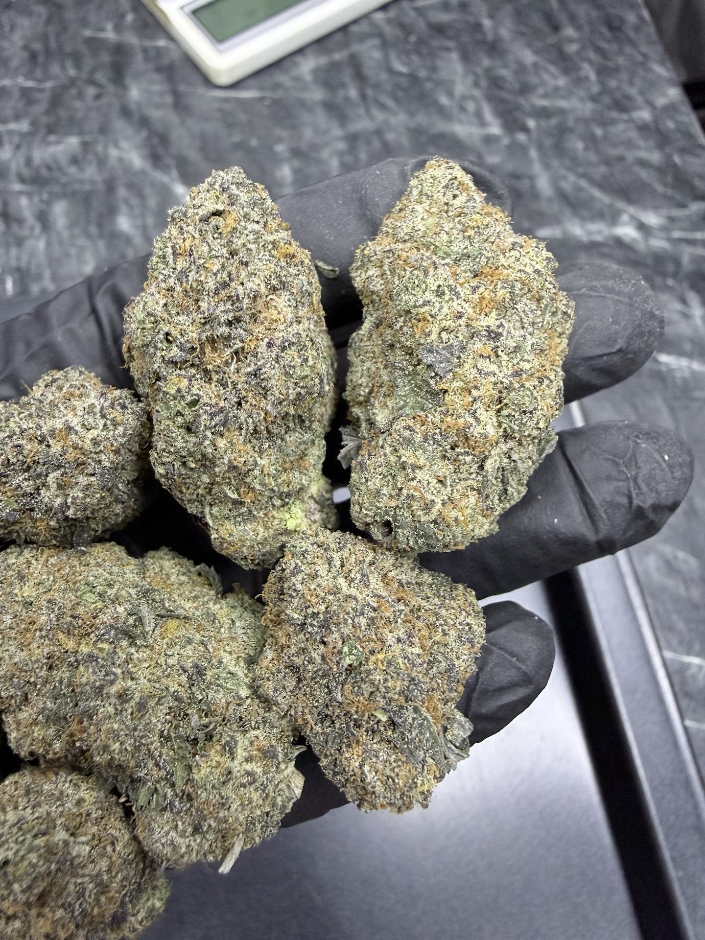DARK MATTER By. Wizard Trees THC 30%+ - Image 4