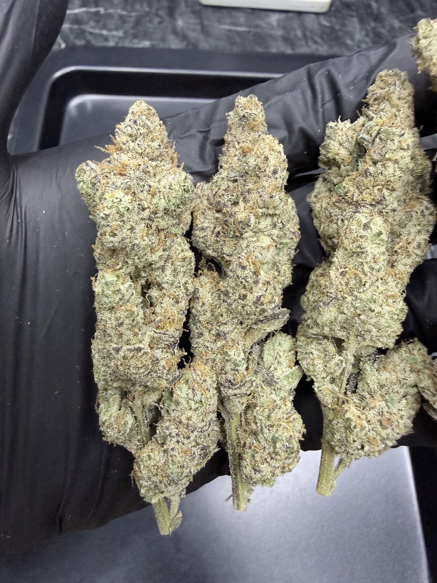 Pucker Up By. Seed Junky THC 30%+ ð - Image 5