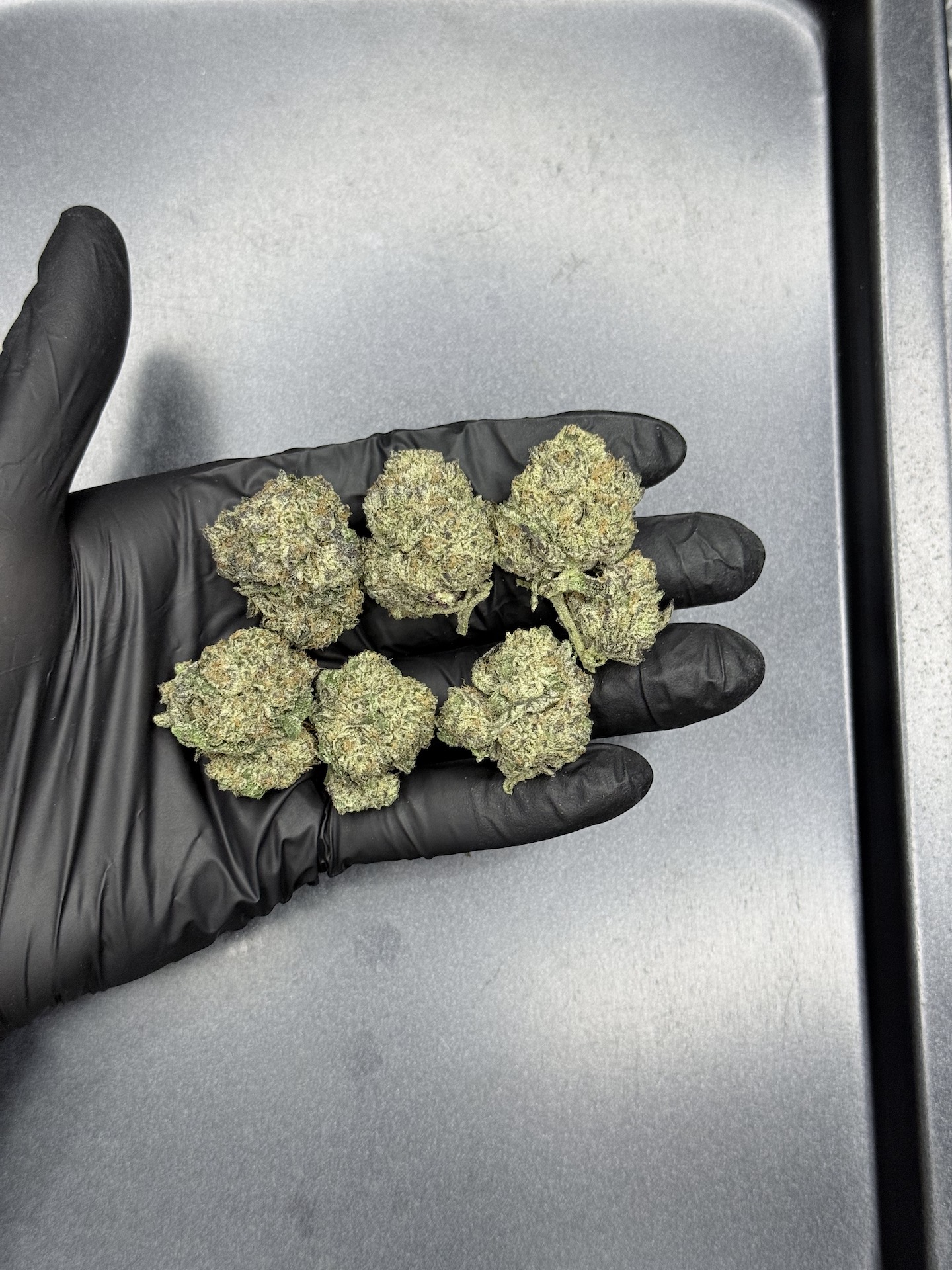 Falcon Heavy By. Exotic Genetix THC 25-30% ð - Image 5