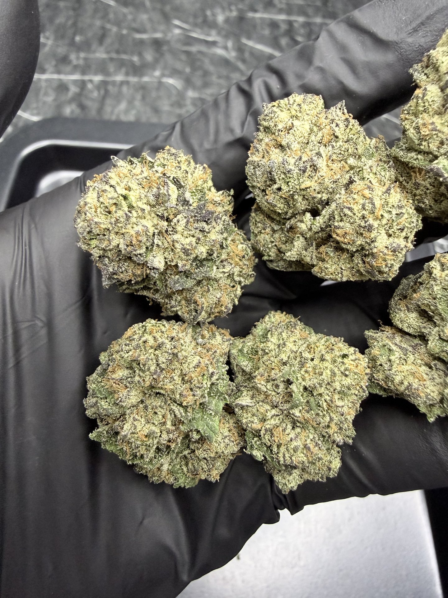 Falcon Heavy By. Exotic Genetix THC 25-30% ð - Image 3