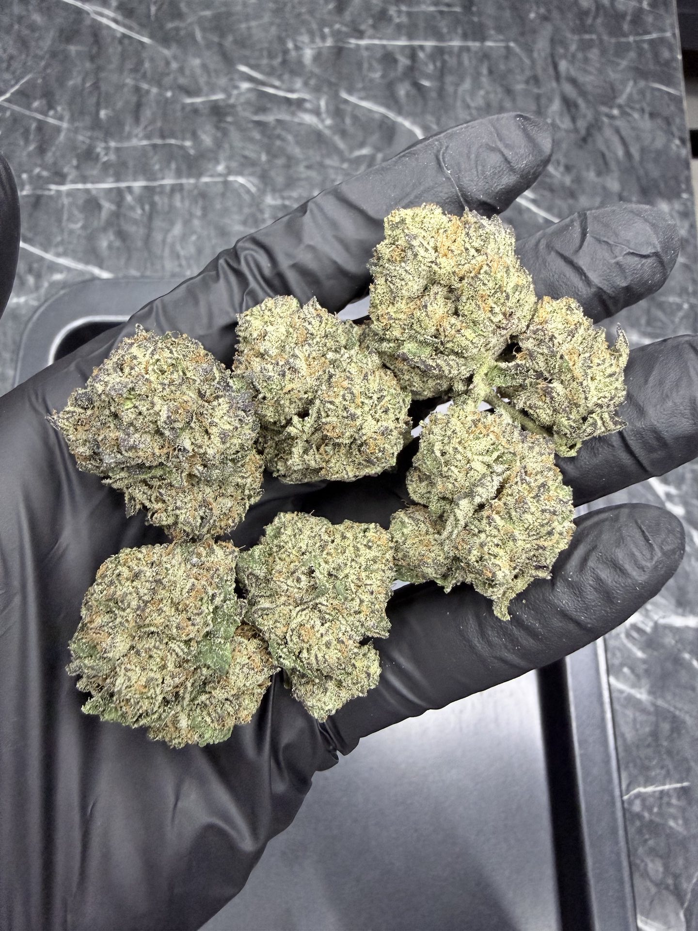 Falcon Heavy By. Exotic Genetix THC 25-30% ð - Image 2