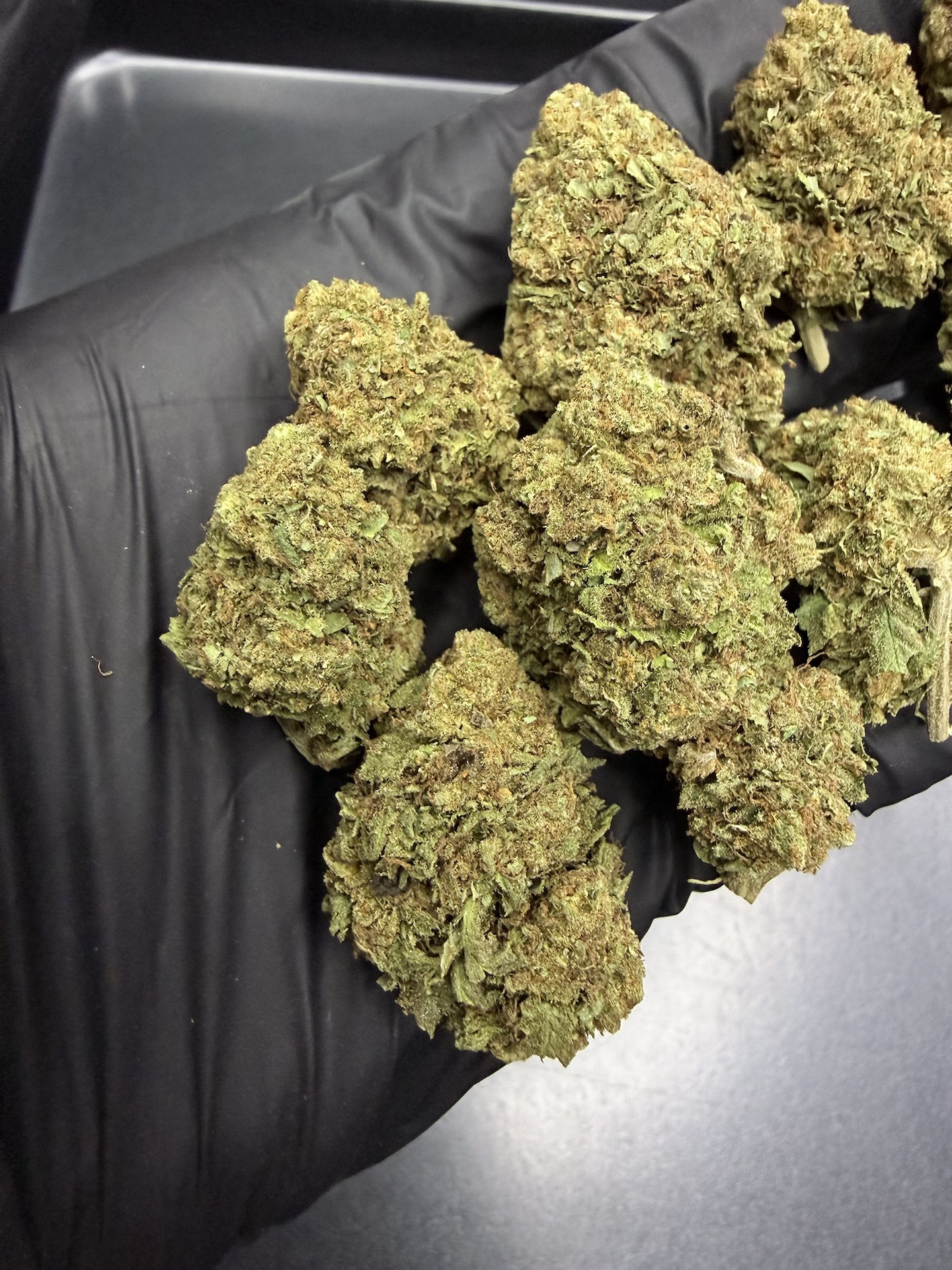 AK 47 THC 25%+ ðļ - Image 3