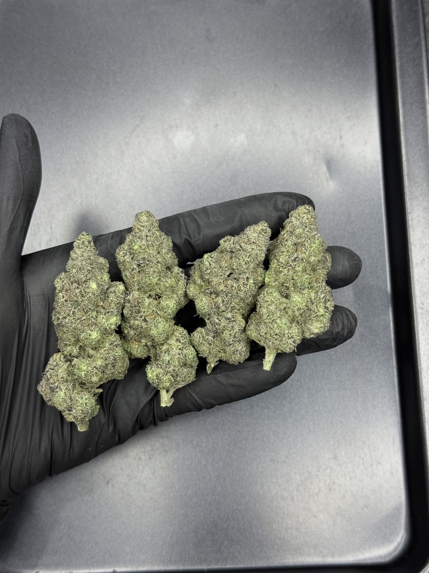 CinnaBonz S1 By. Copycat Genetix THC 33-35% ð - Image 5