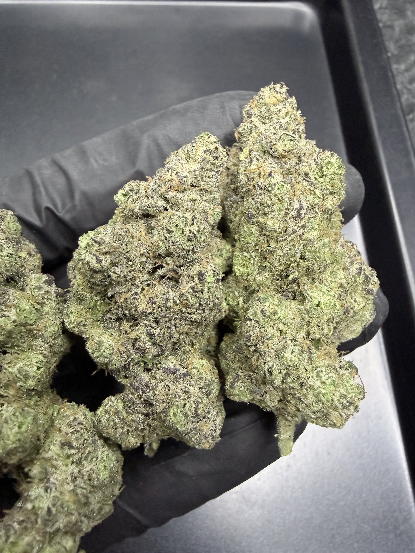 CinnaBonz S1 By. Copycat Genetix THC 33-35% ð - Image 4