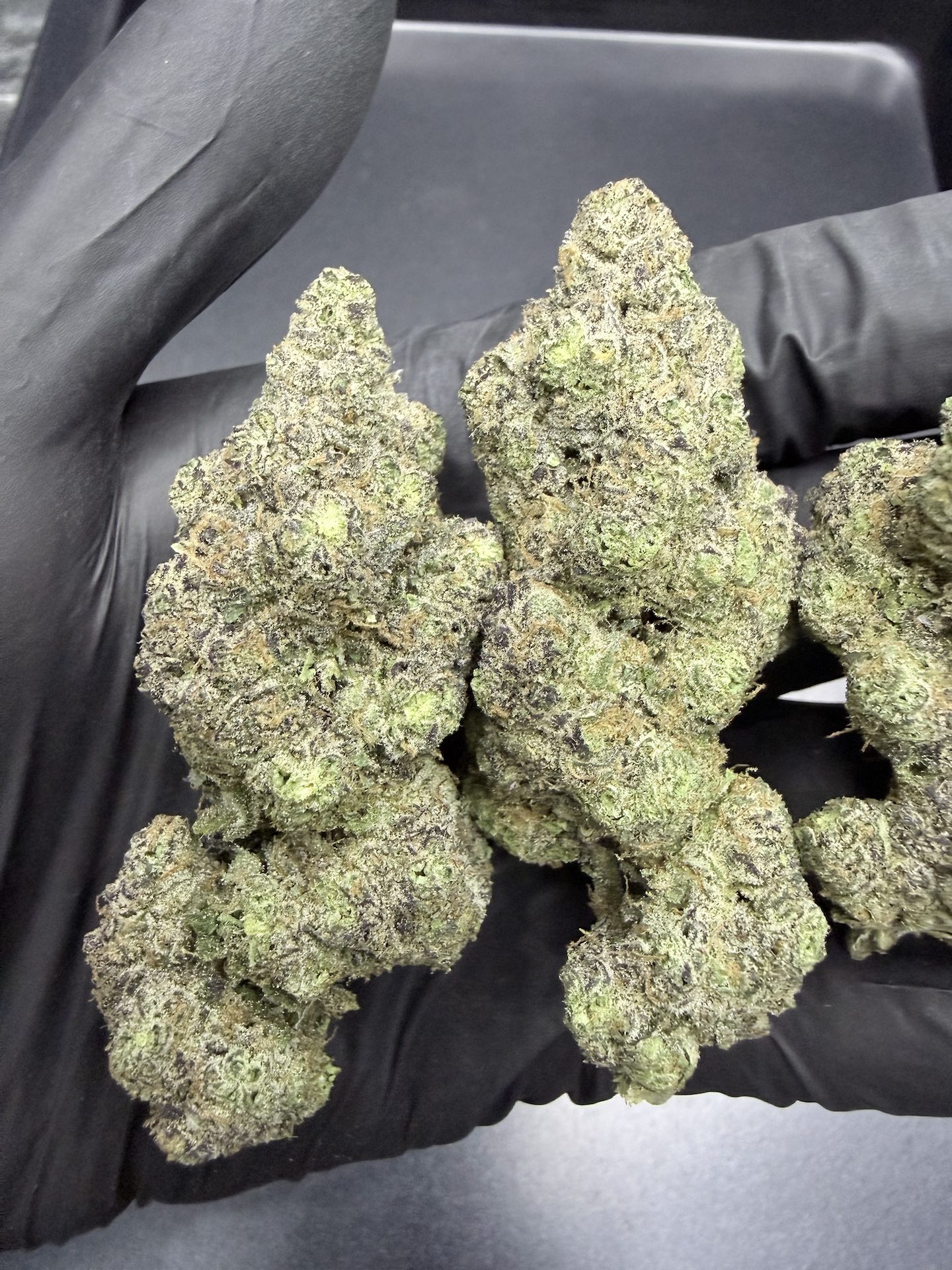 CinnaBonz S1 By. Copycat Genetix THC 33-35% ð - Image 3