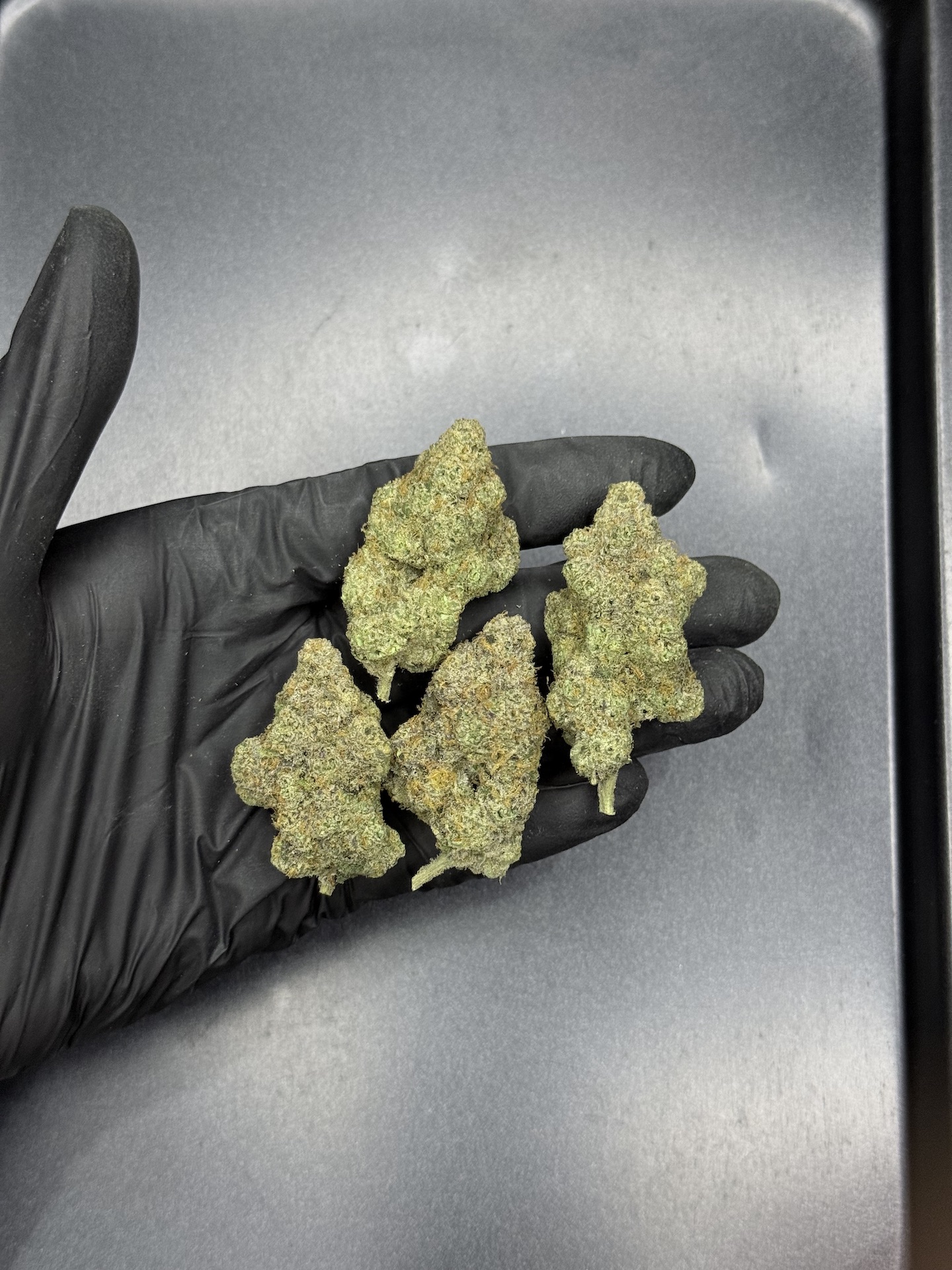 Lychee By. Nine Weeks Harvest THC 25-30% ð - Image 5