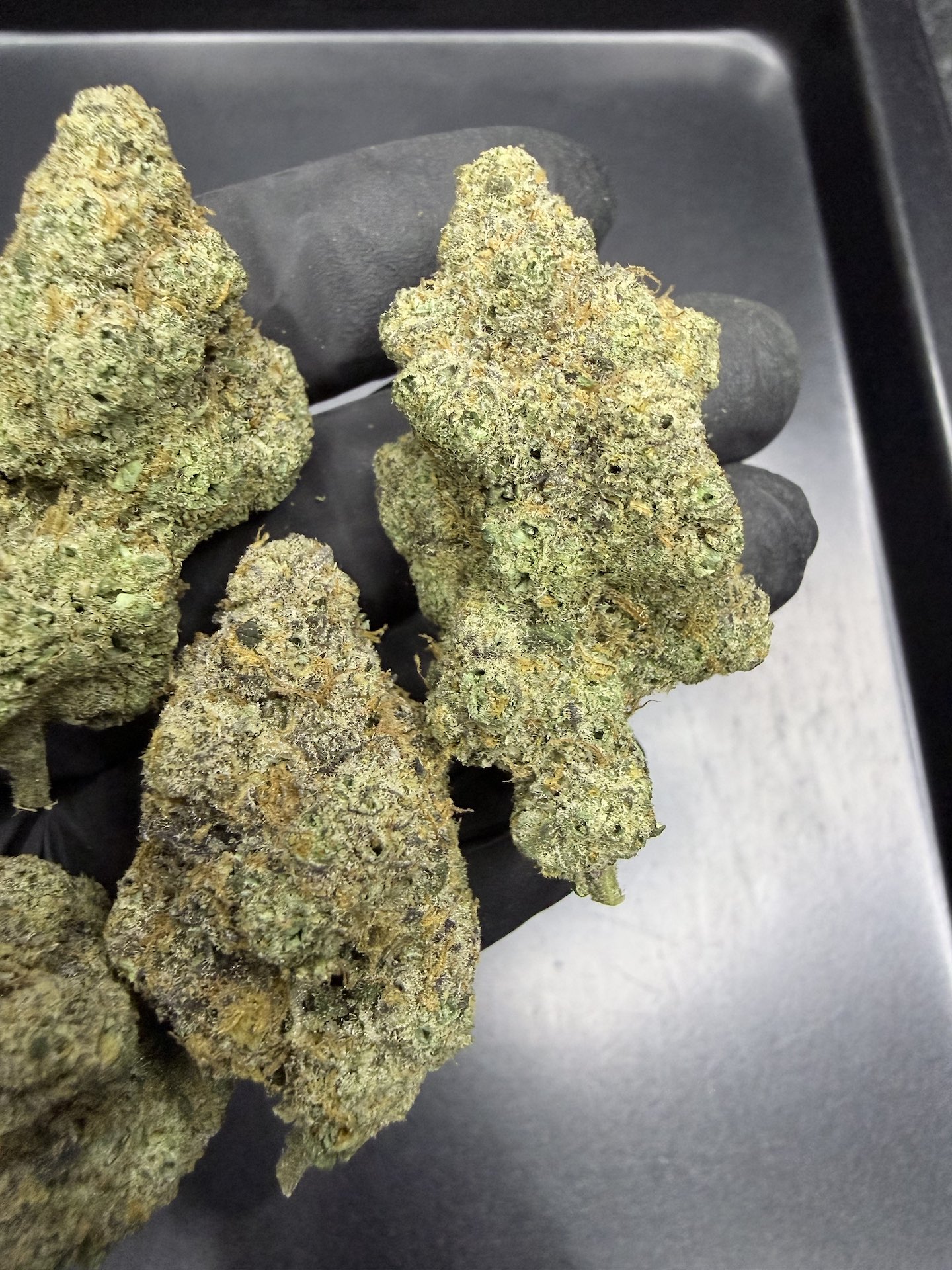 Lychee By. Nine Weeks Harvest THC 25-30% ð - Image 4
