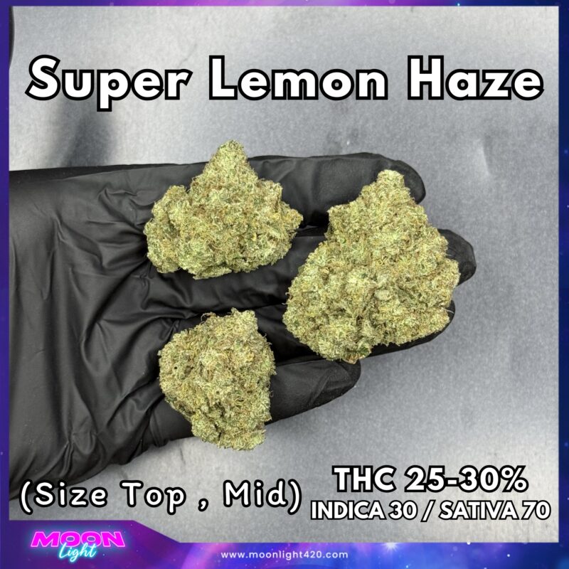 Super Lemon Haze By. Green House Seed THC 25-30%