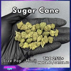 Sugar Cane THC 25%+ 🛸