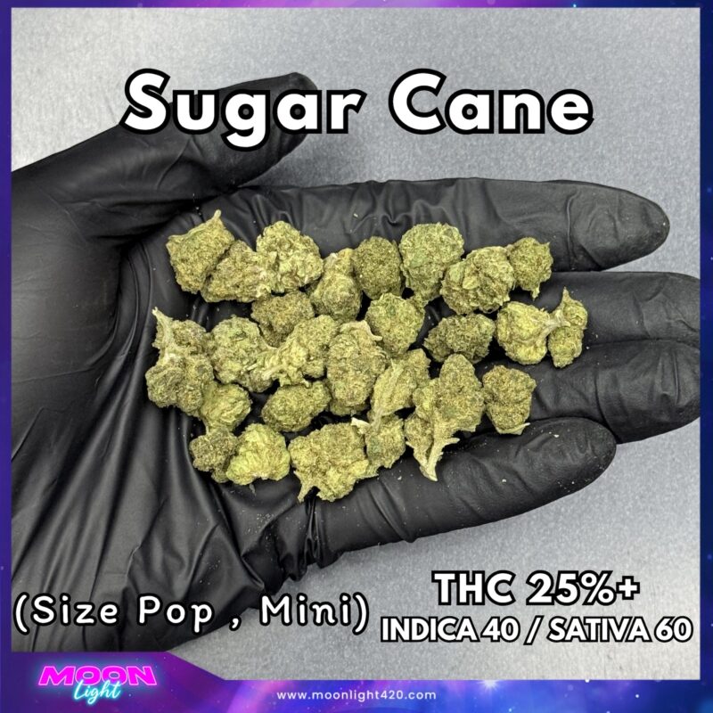 Sugar Cane THC 25%+ 🛸