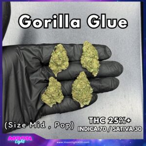Gorilla Glue THC 25%+ 🛸