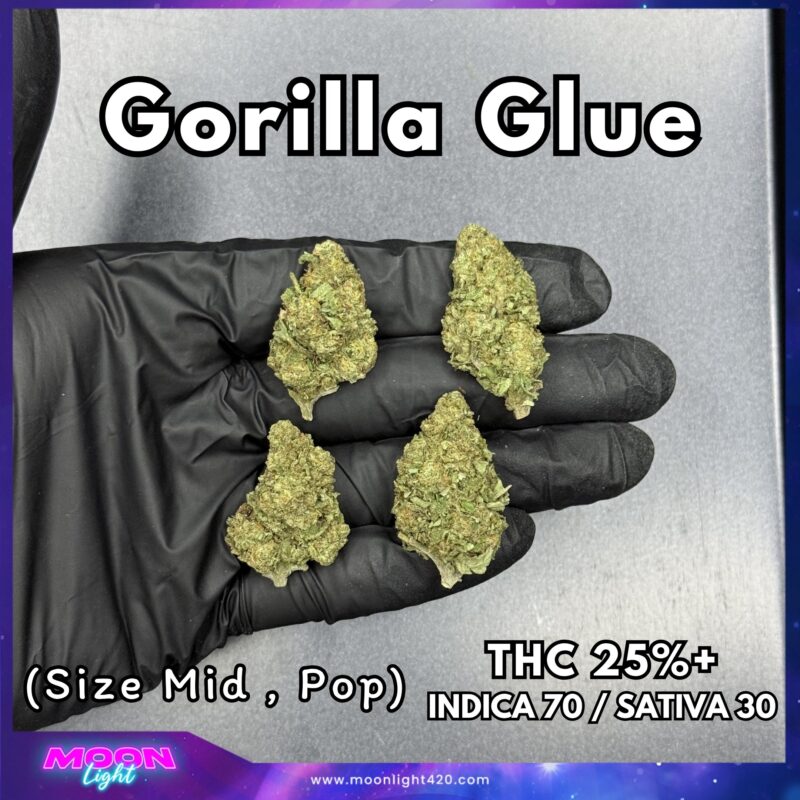 Gorilla Glue  THC 25%+ 🛸