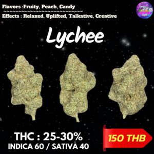 Lychee By. Nine Weeks Harvest THC 25-30% 🌕