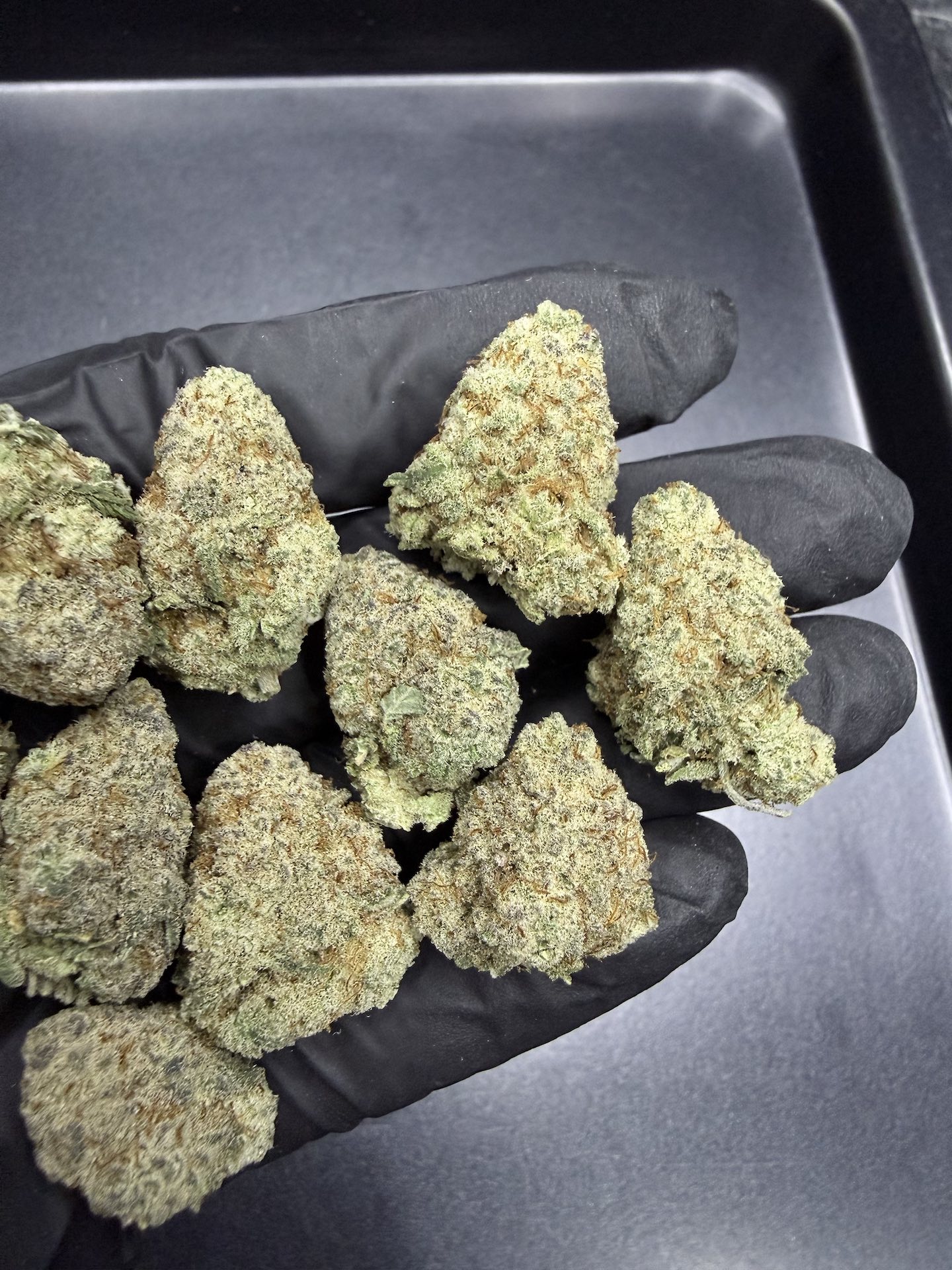 L.A. Banana Cake THC 25-30% - Image 5